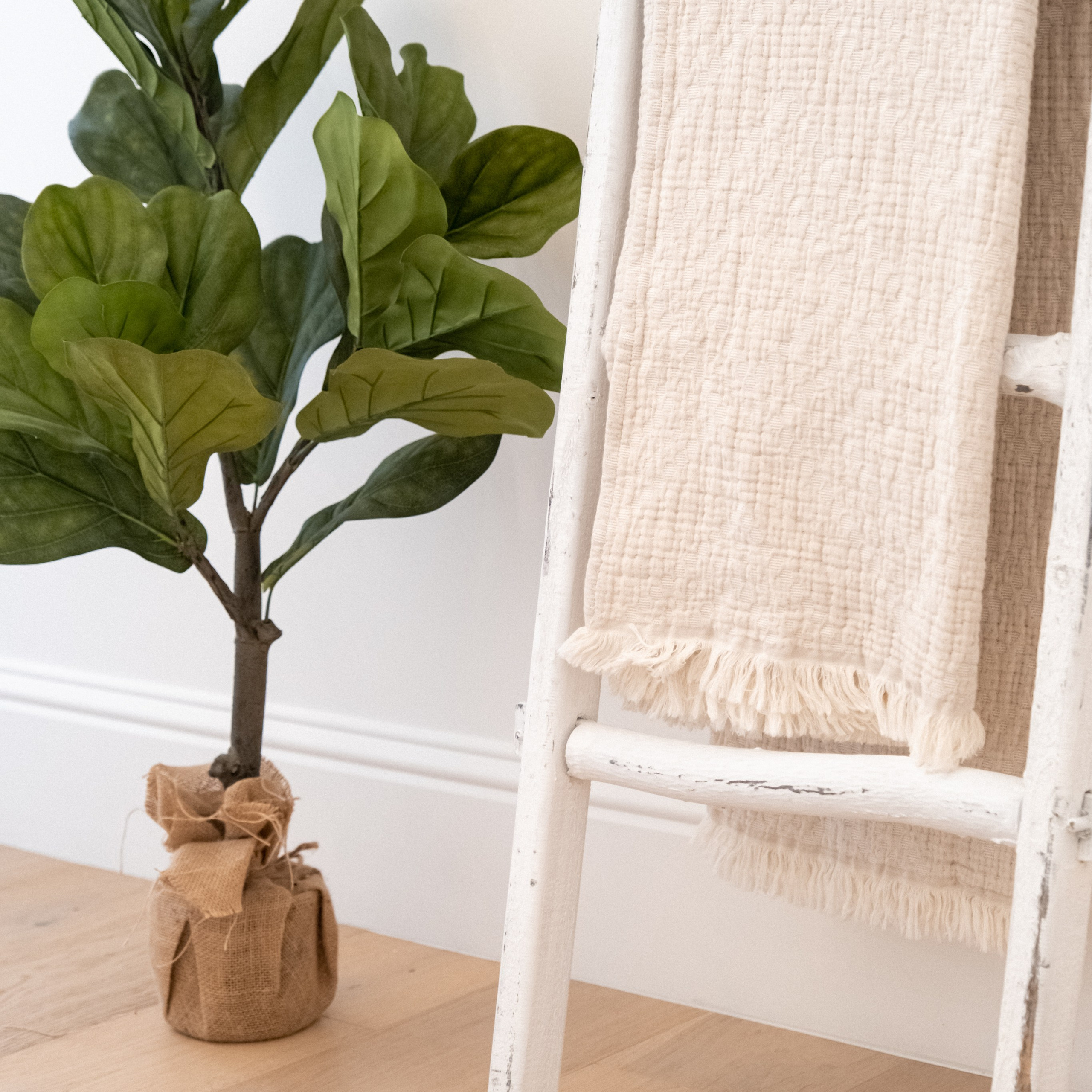 Elegant interior decor detail with modern styling photographed by Austin interior photographer