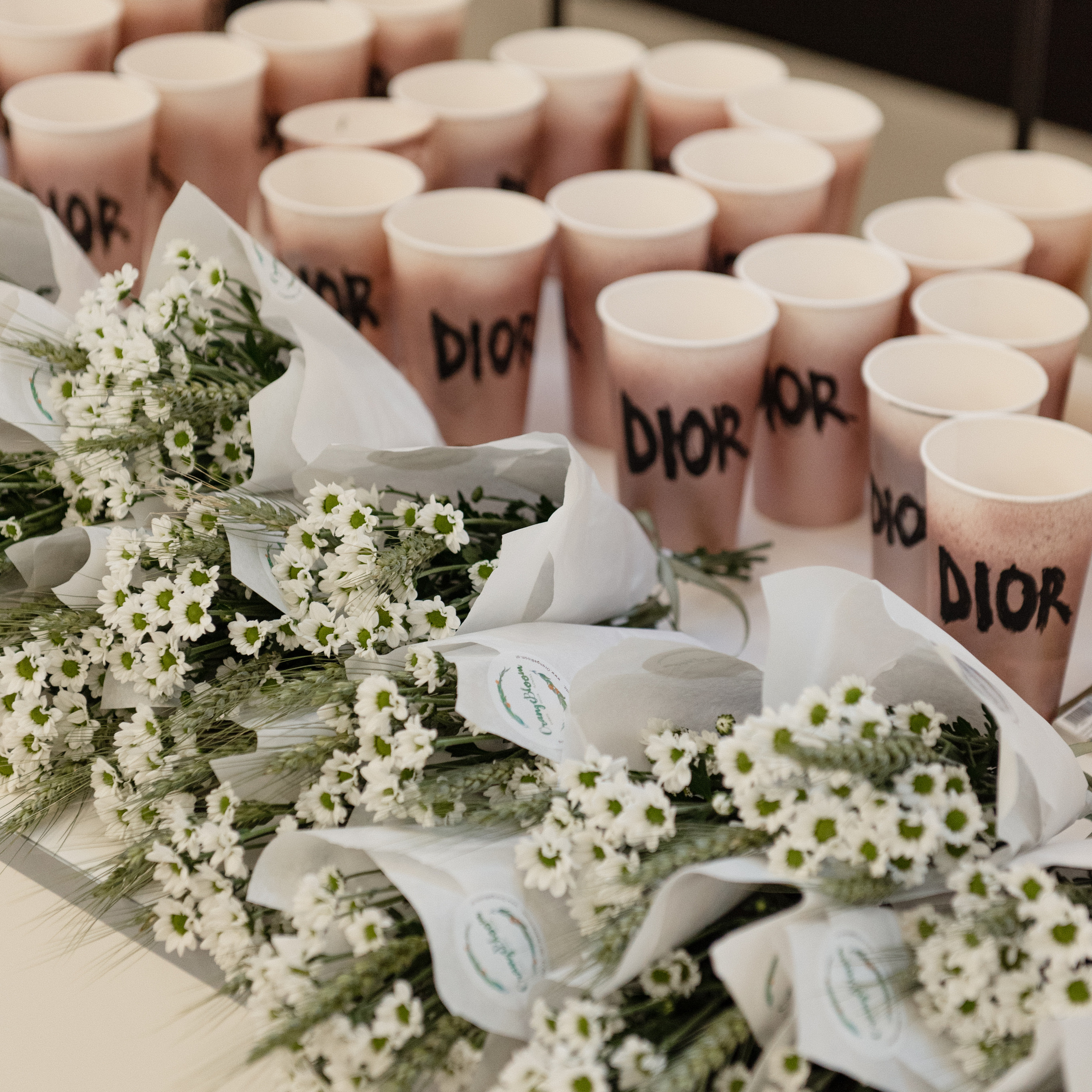 Lecture about Dior Event