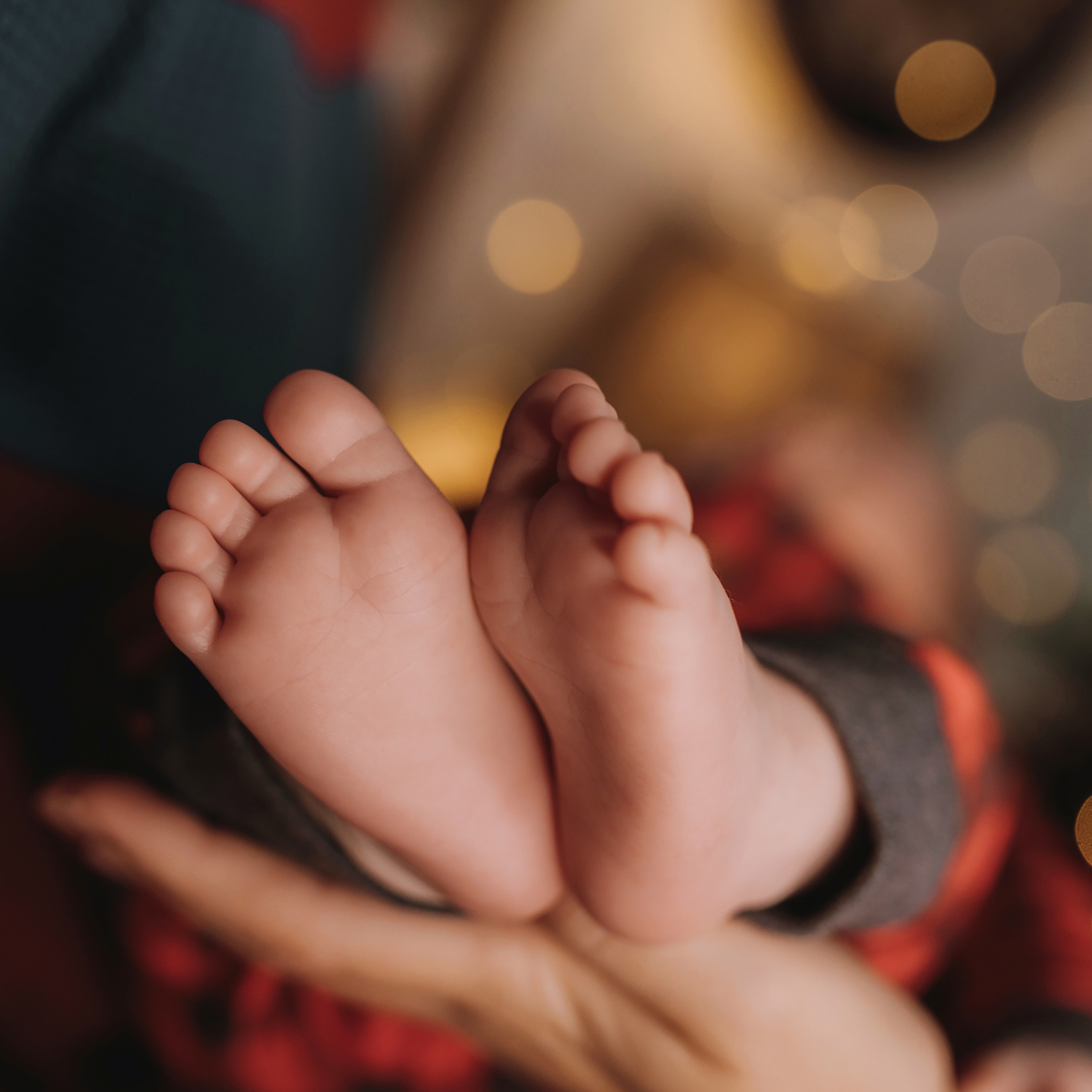 11.26.2022 Christmas Photoshoot 9