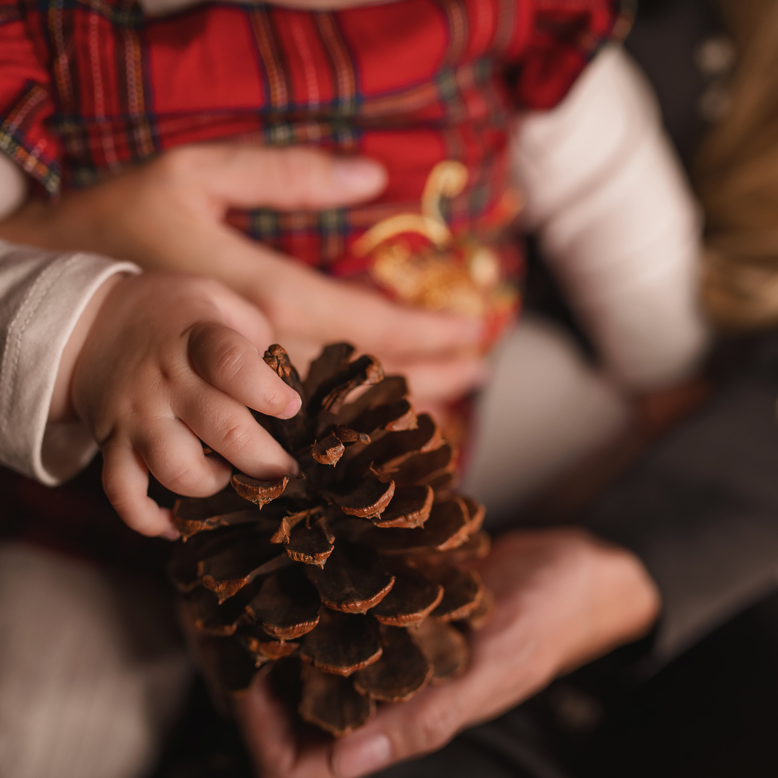 12.05.2020 Christmas Family Photoshoot 11