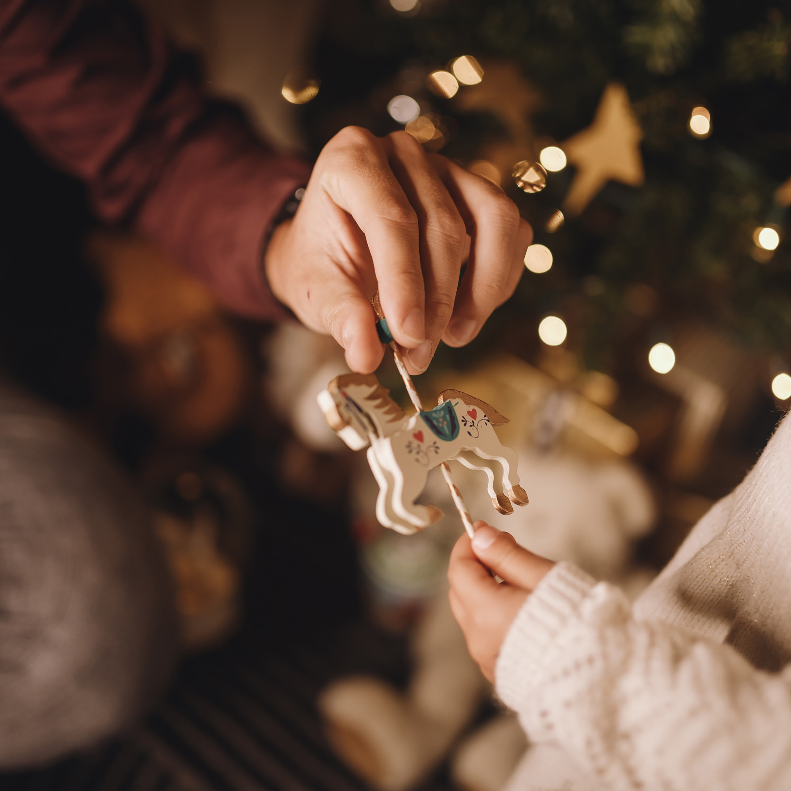 12092021 Christmas Photoshoot 11