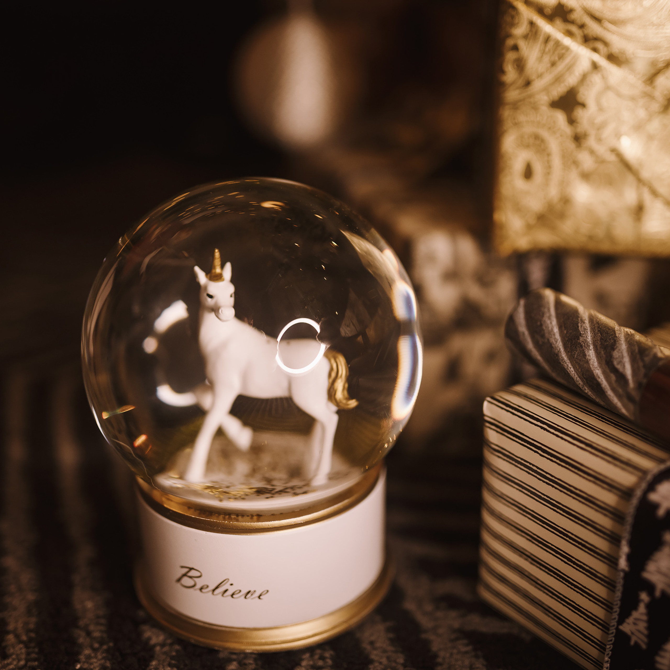 12042021 Christmas Photoshoot 8