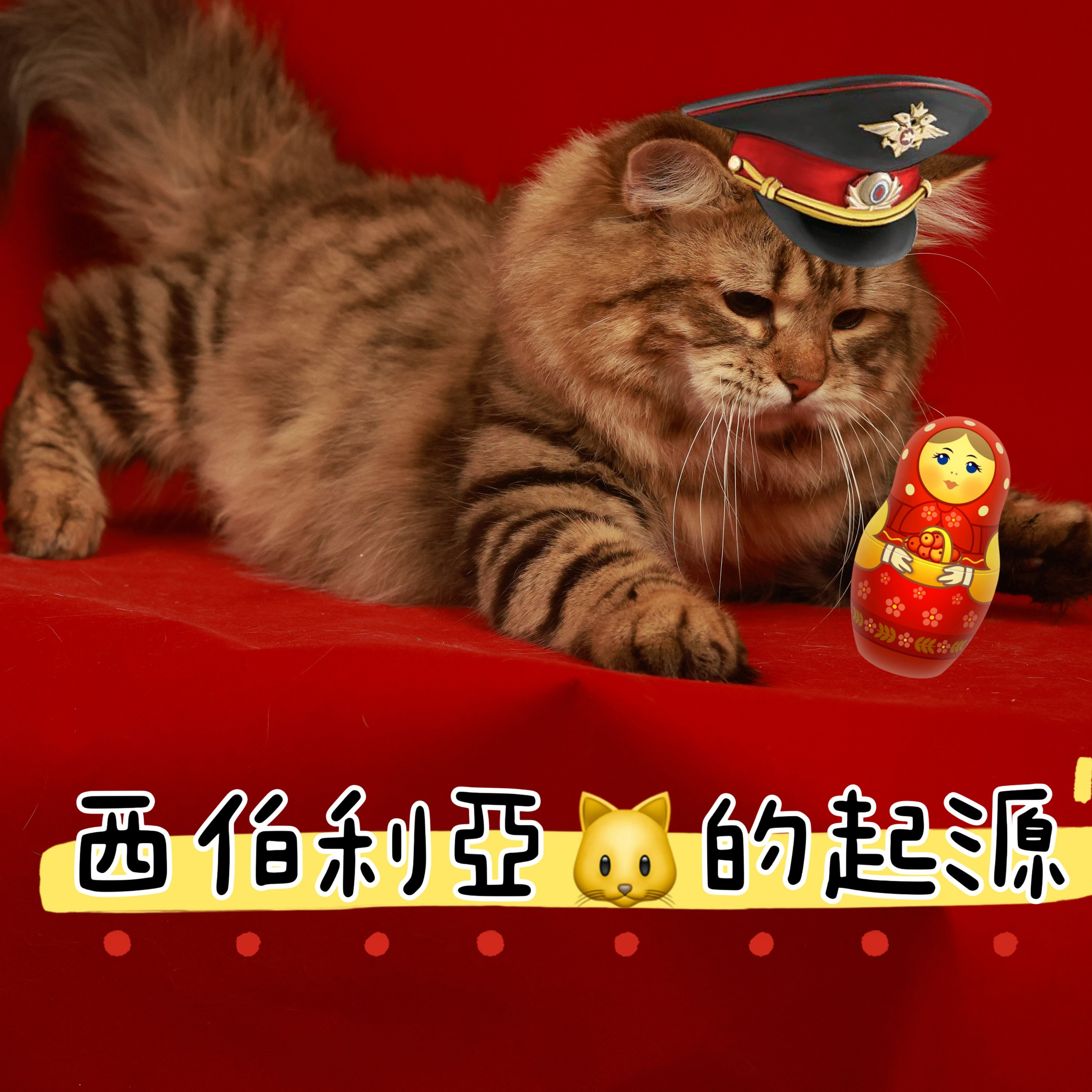 西伯利亞貓的起源