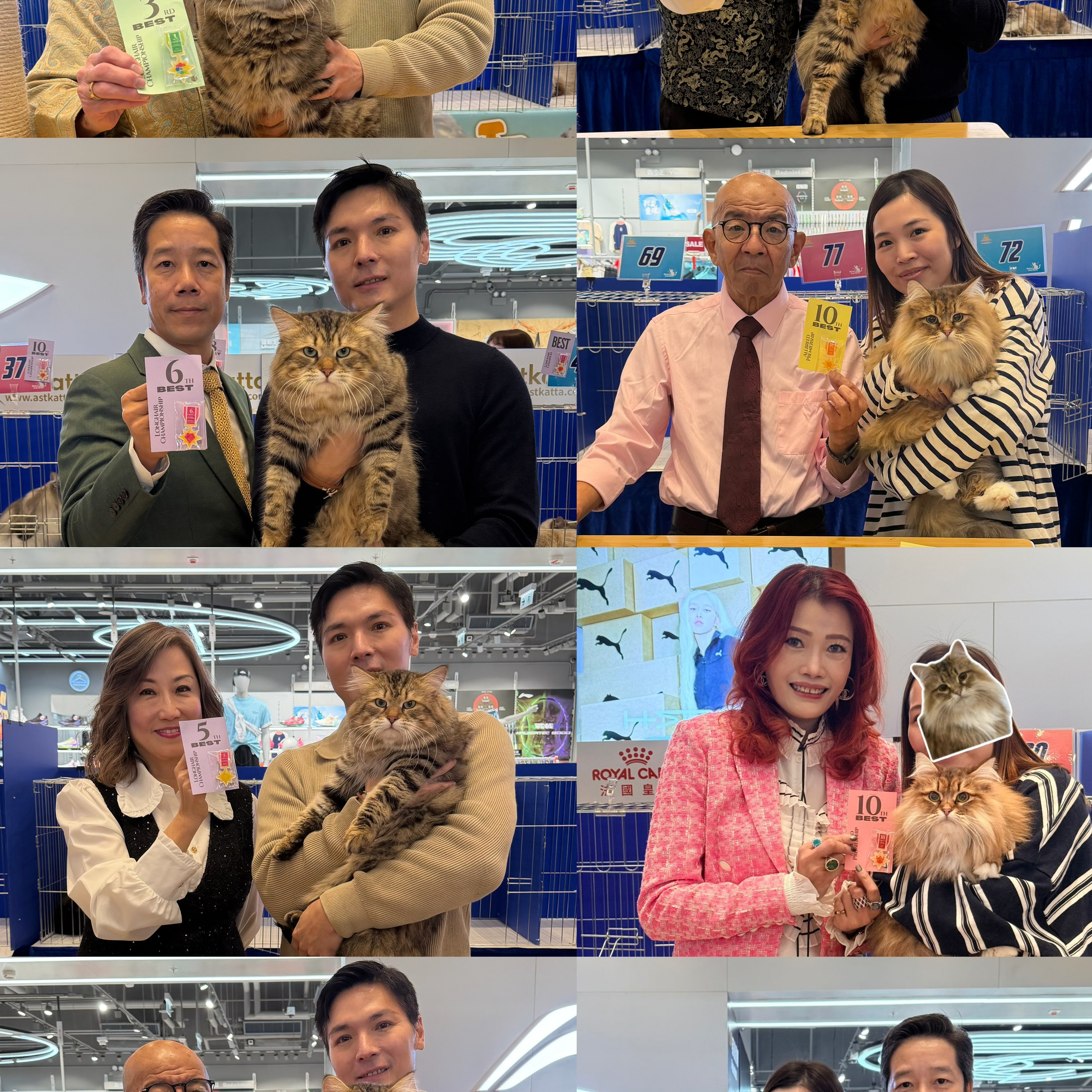 CFA Grand Cat Extravaganza 2026 Round 1 & Round 2 (15-16 March 2026)