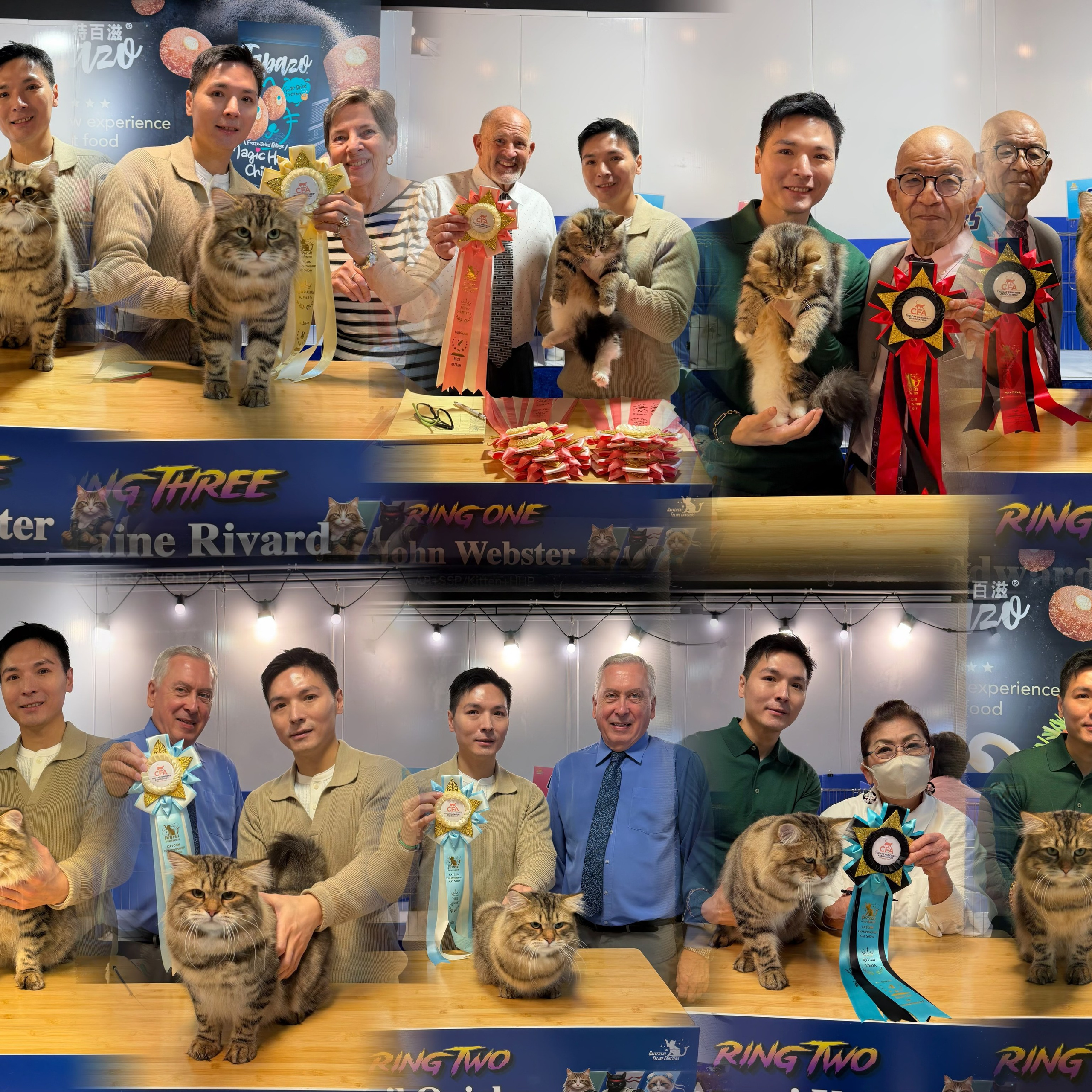 CFA UFF CATCOM Championship Cat Show (24-25 Jan 2026)