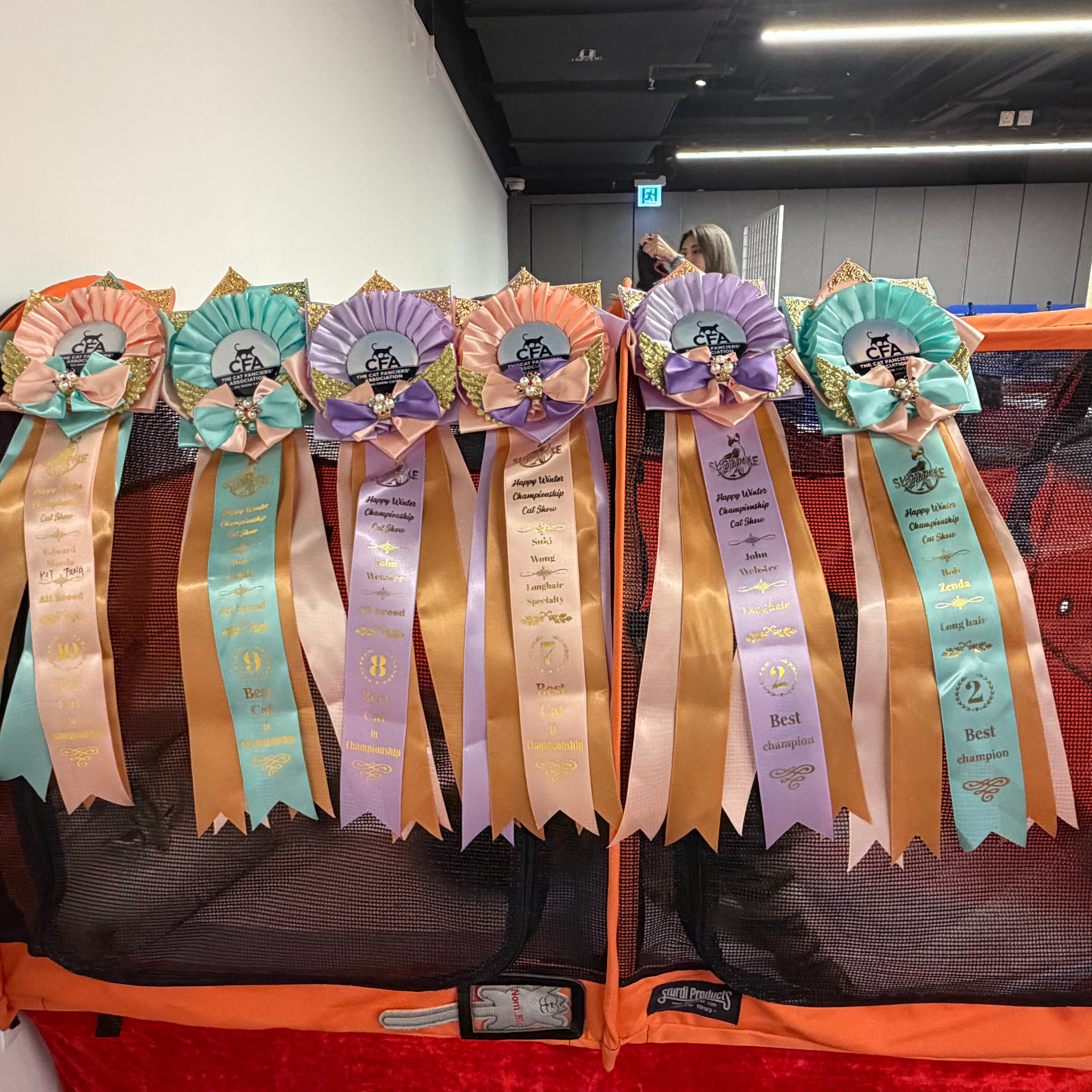 CFA WINTER CHAMPIONSHIP CAT SHOW 13 DEC 2025