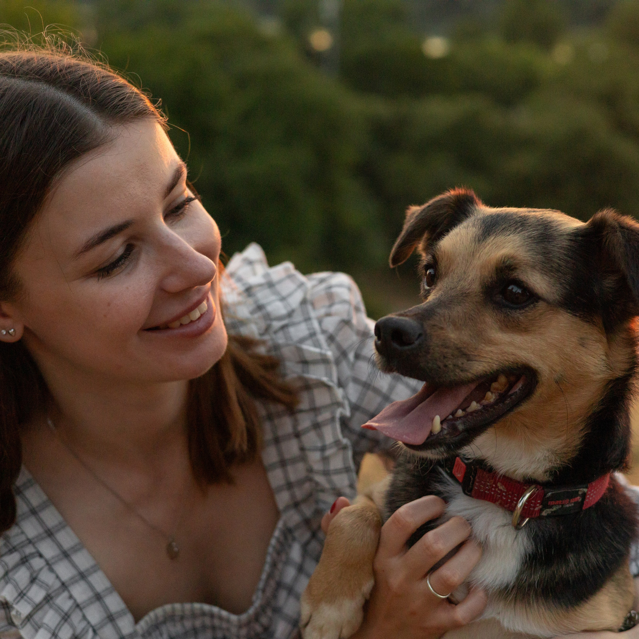 Отзывы. Фотограф-анималист | Белград