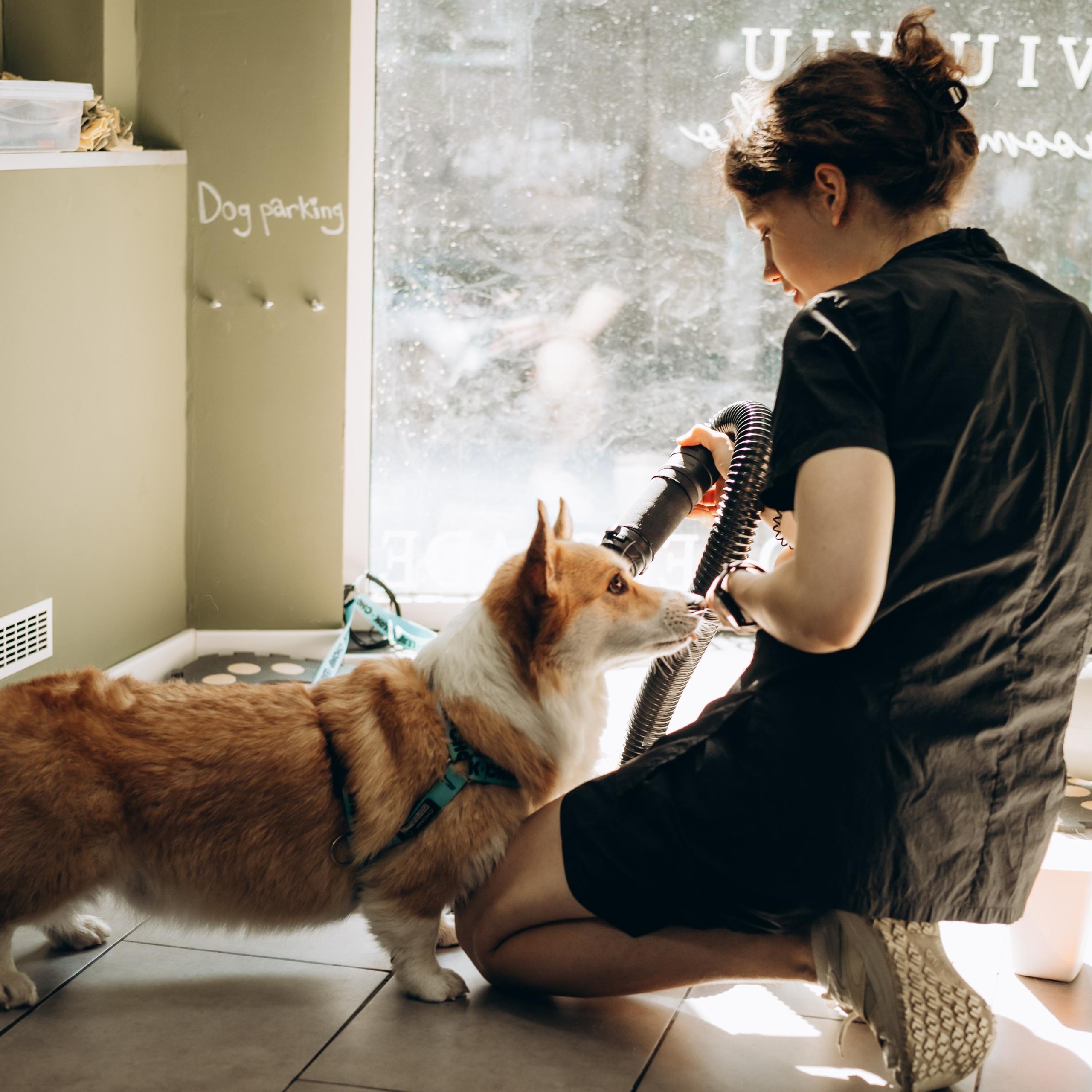 Отзывы. Фотограф-анималист | Белград