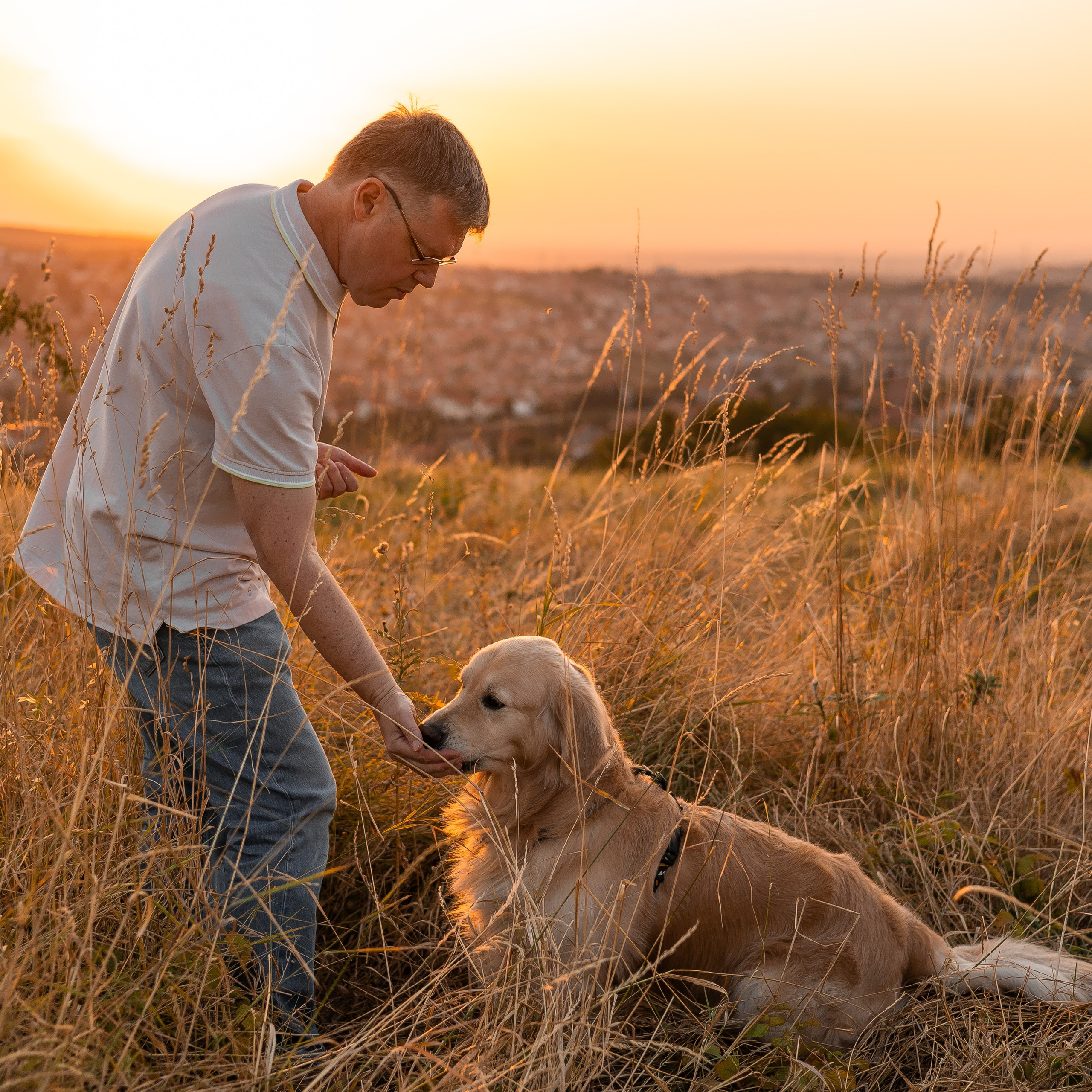 Антон и Плюша