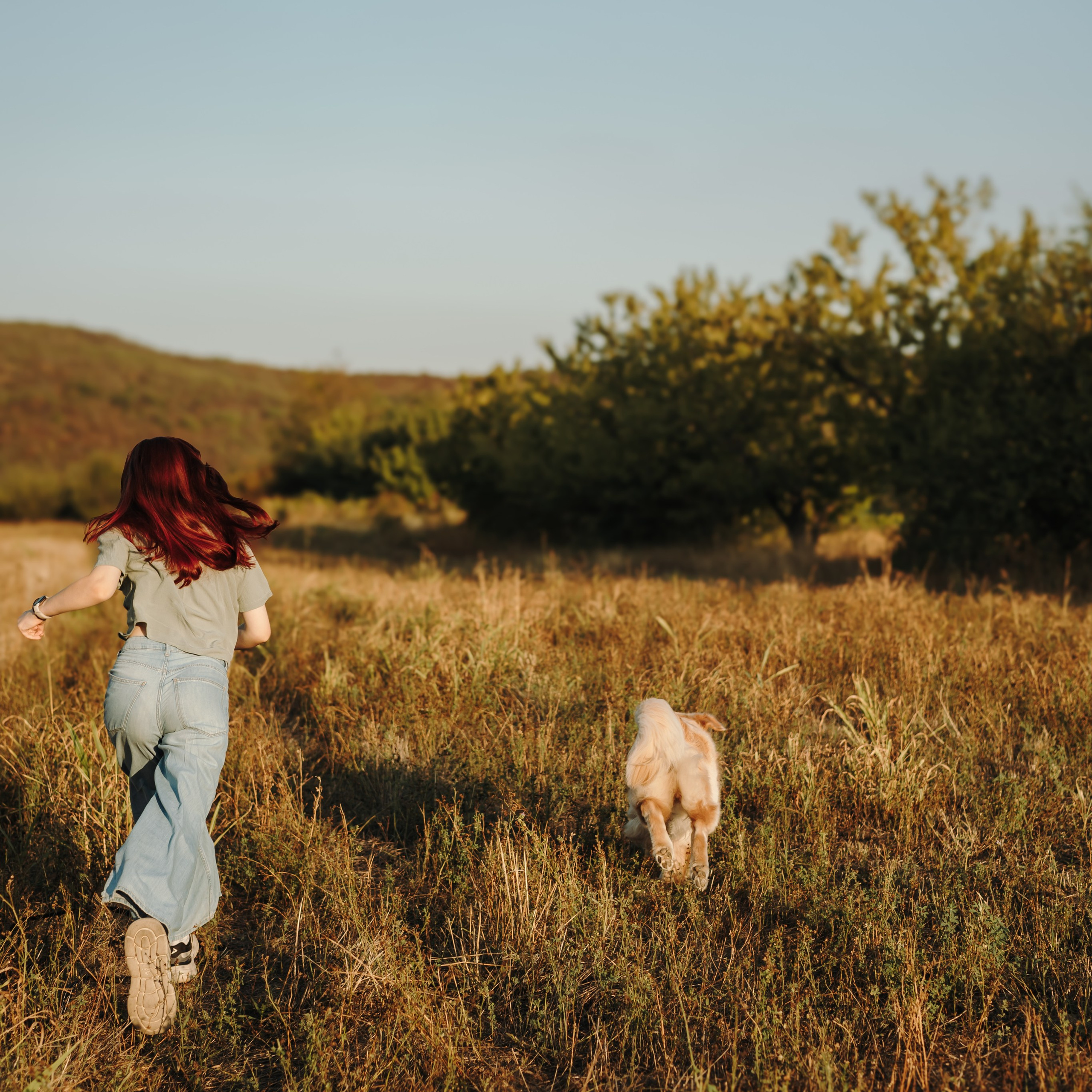 Отзывы. Фотограф-анималист | Белград