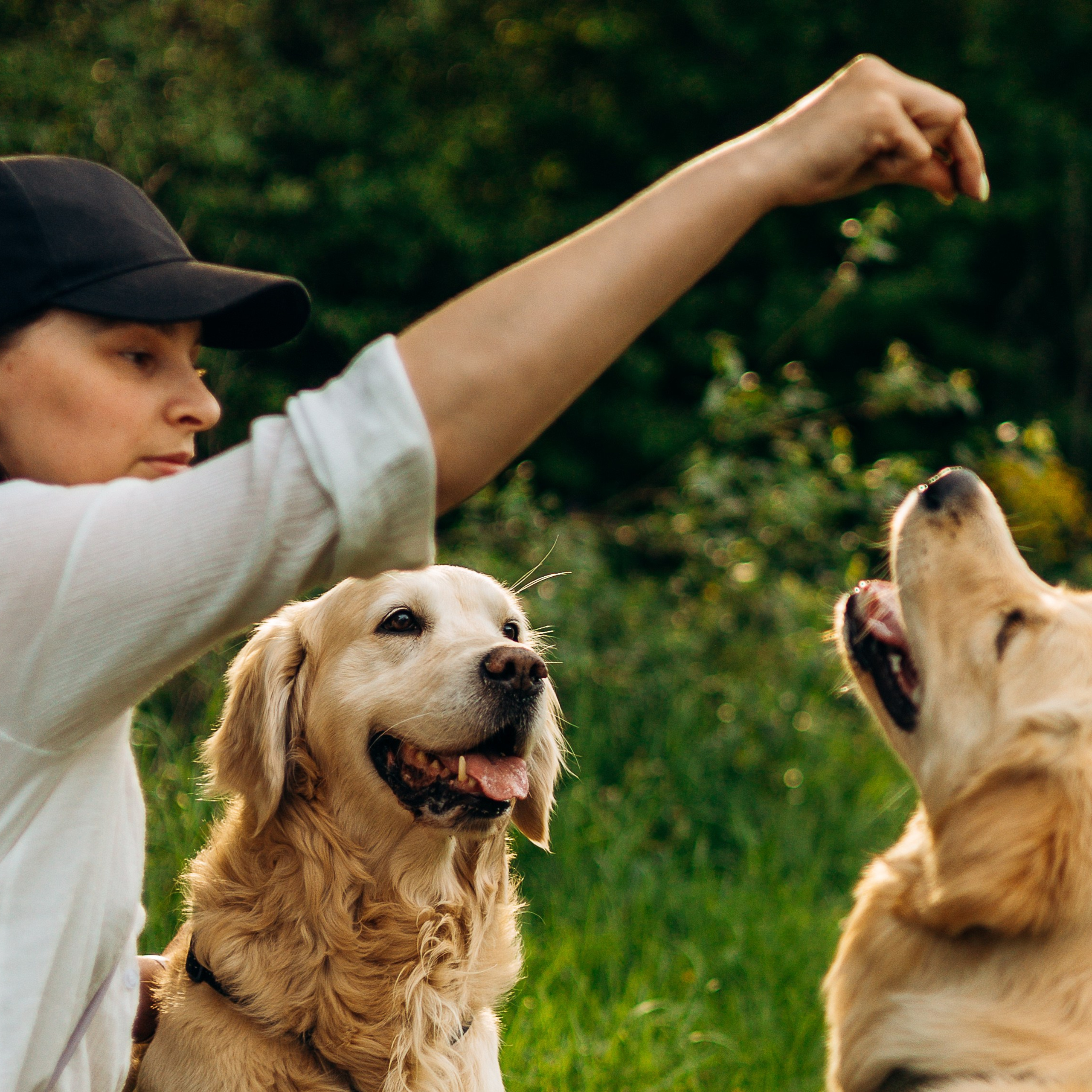 Настя, Арчи, Арагон