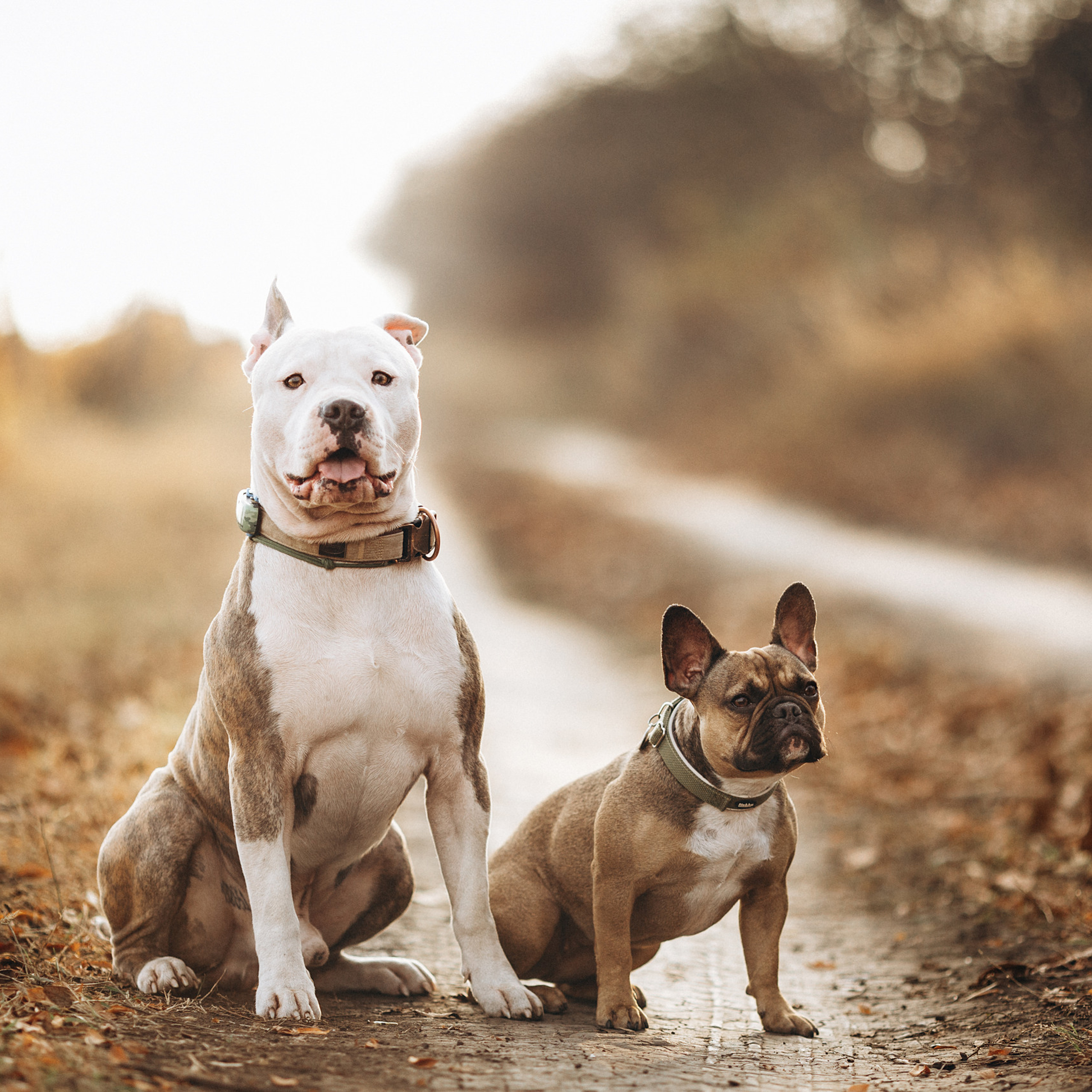 Отзывы. Семейный фотограф в Кишинёве Пулькина Ольга