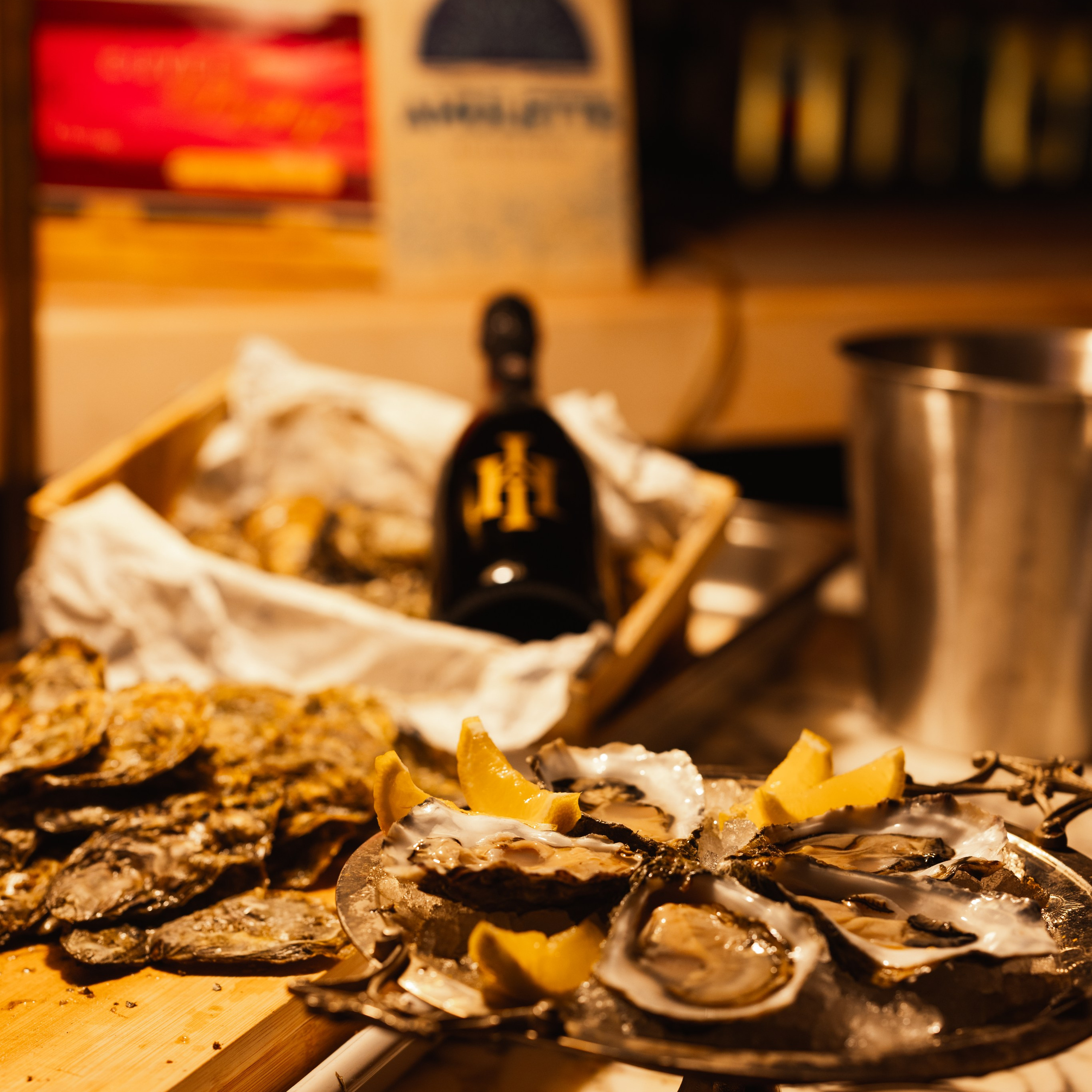 Events. Amirali Bahrami — Videographer & Photographer in Riga