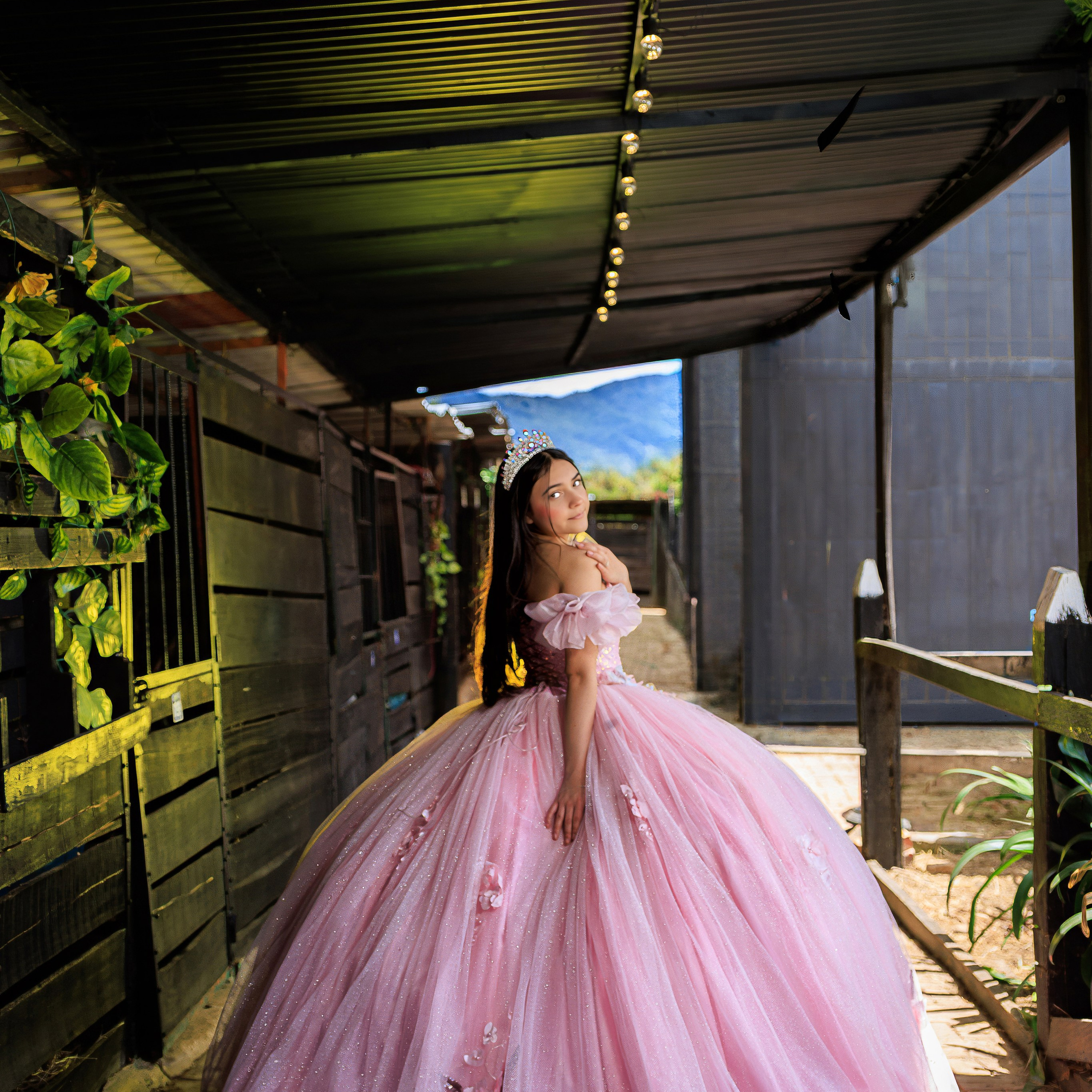 Harnol Lopez - Fotografia de Quinces & Bodas