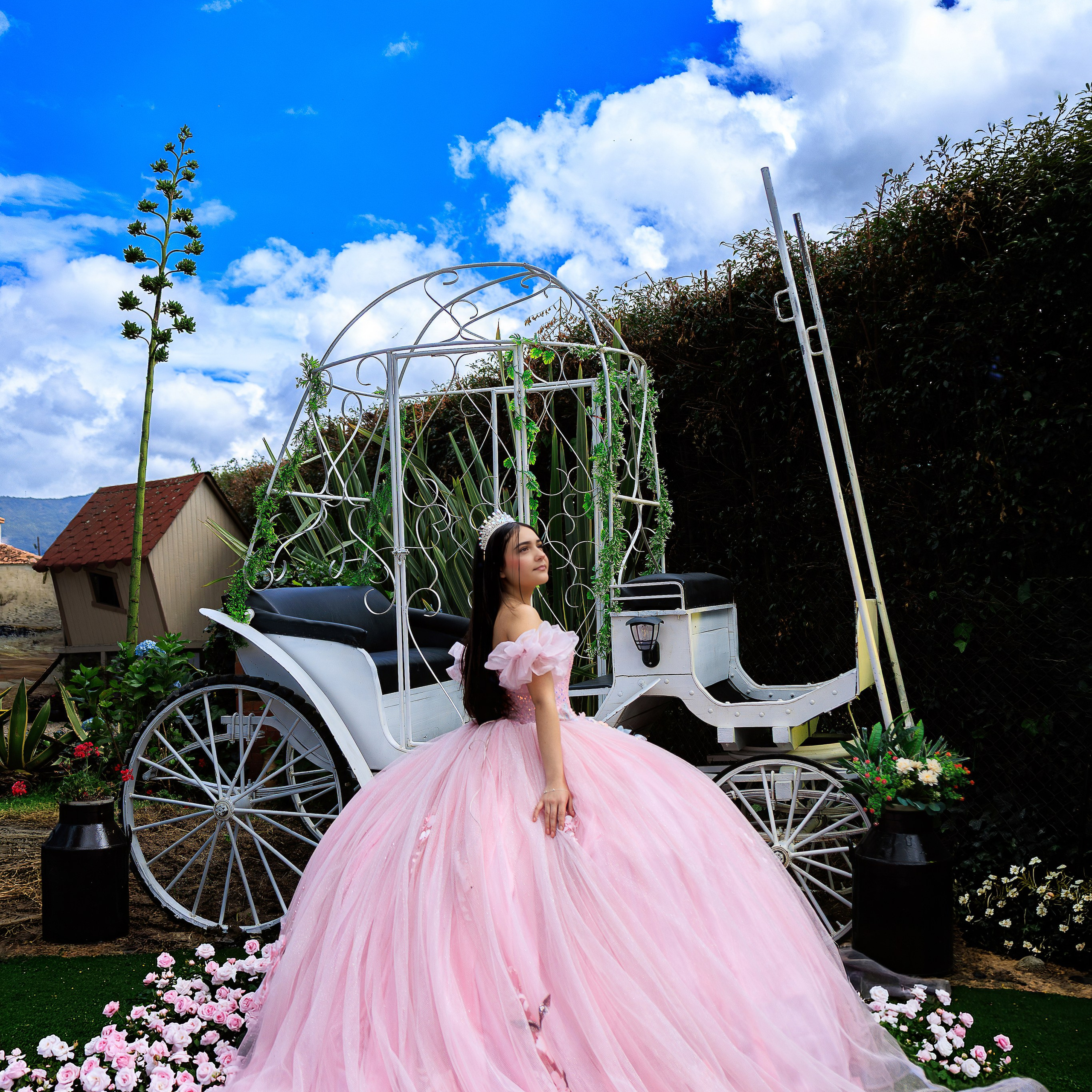 Harnol Lopez - Fotografia de Quinces & Bodas