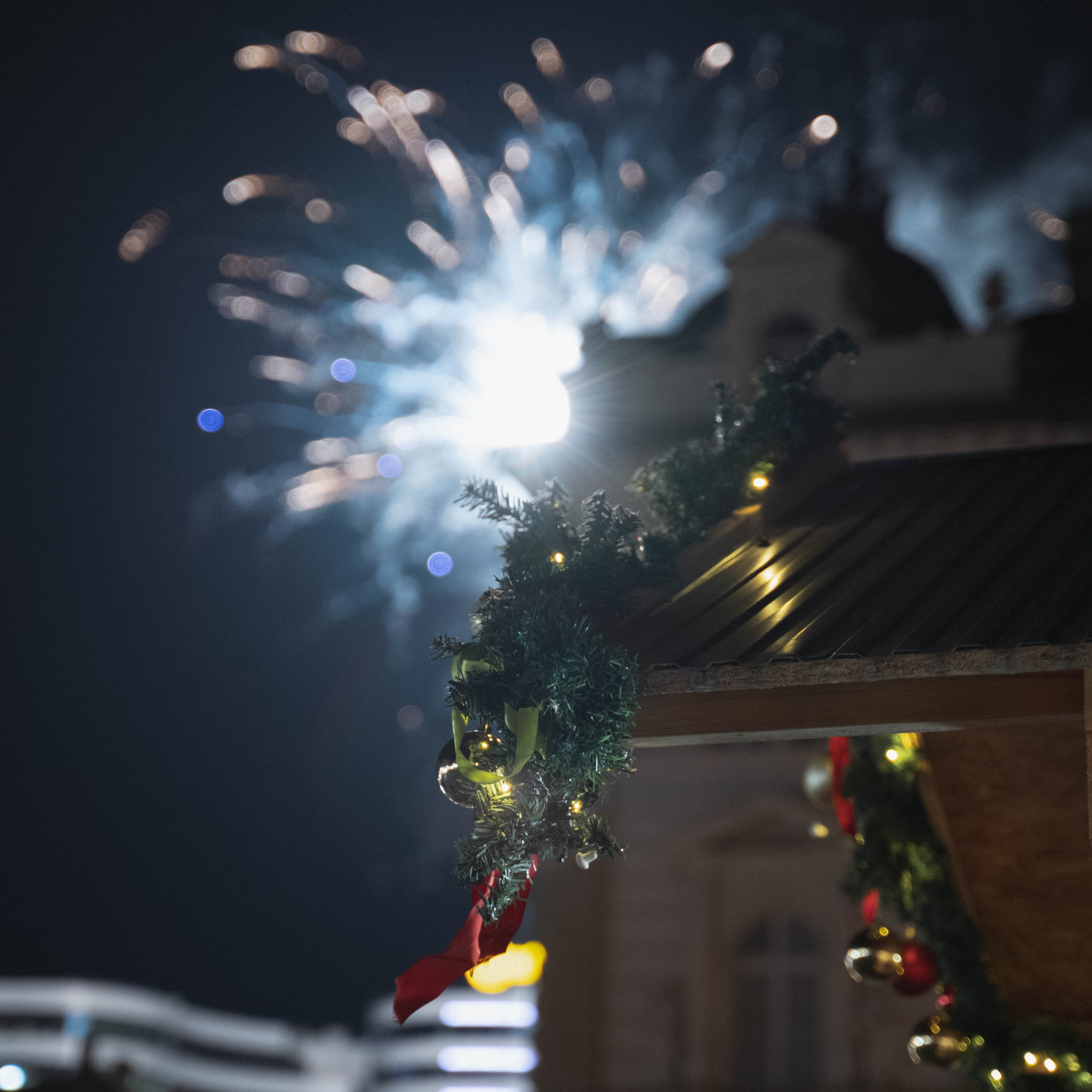 Novosadski Zimzolend