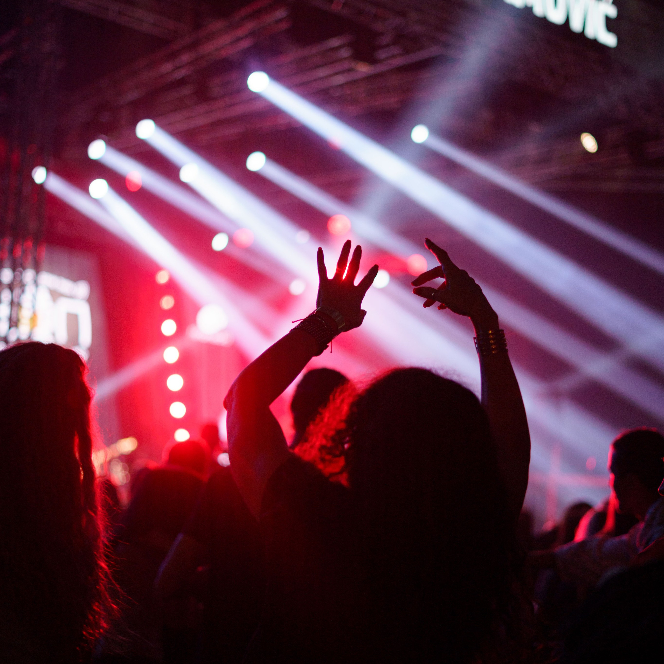 Dani piva u Novom Sadu 2024