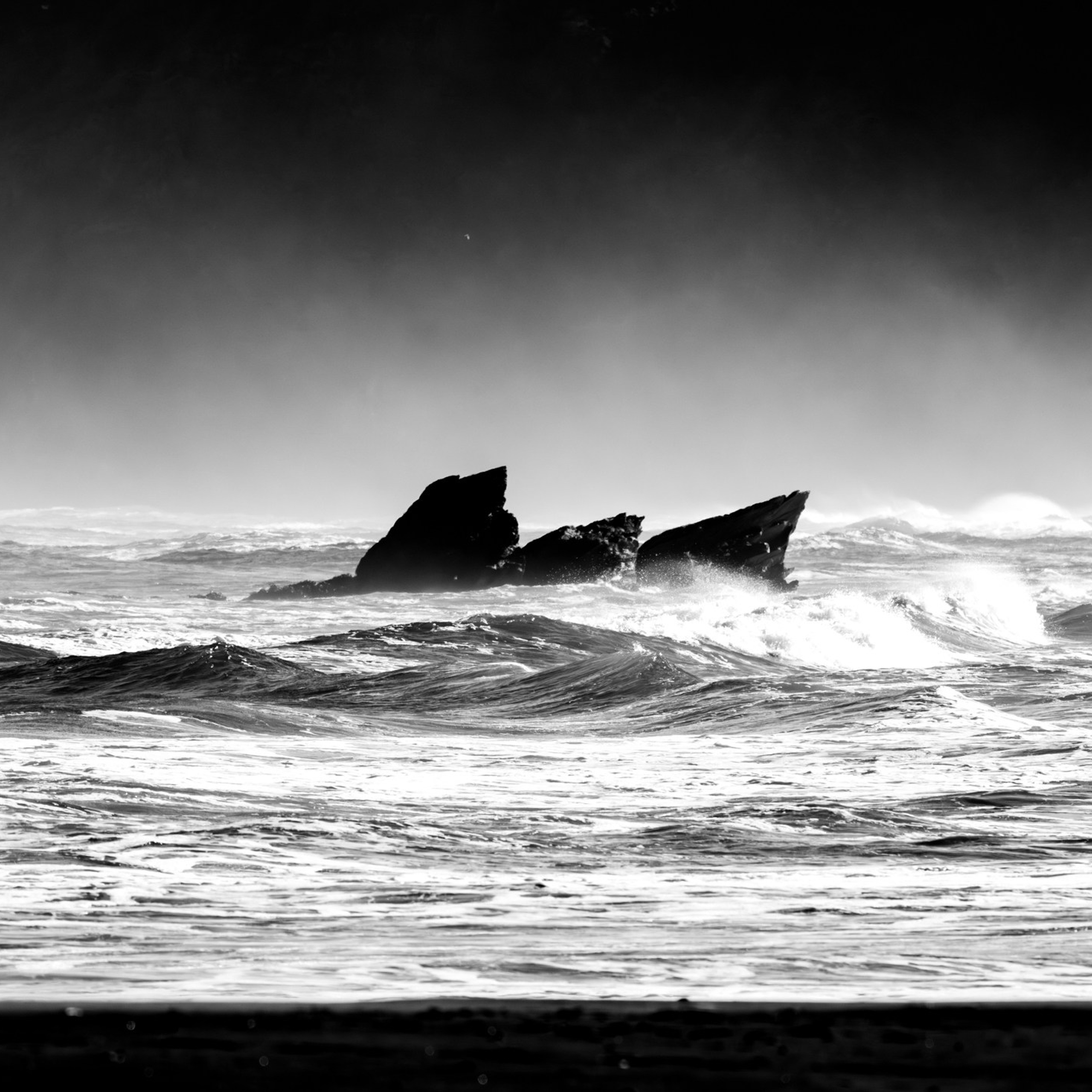 Costa Valdiviana