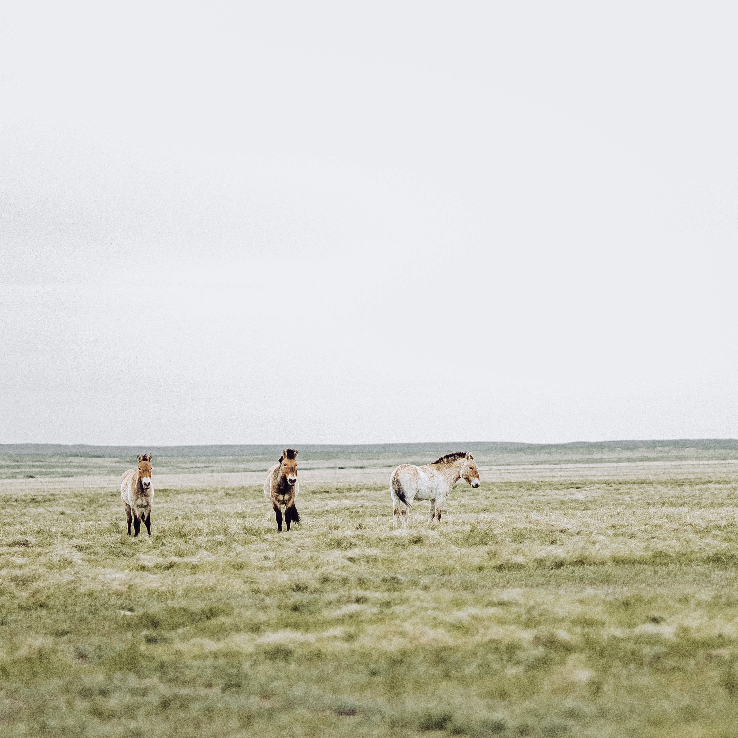 Отзывы. Dusimovs.ru ВИДЕОСЪЁМКА I ВИДЕОГРАФ | ФОТОГРАФ I ОРЕНБУРГ