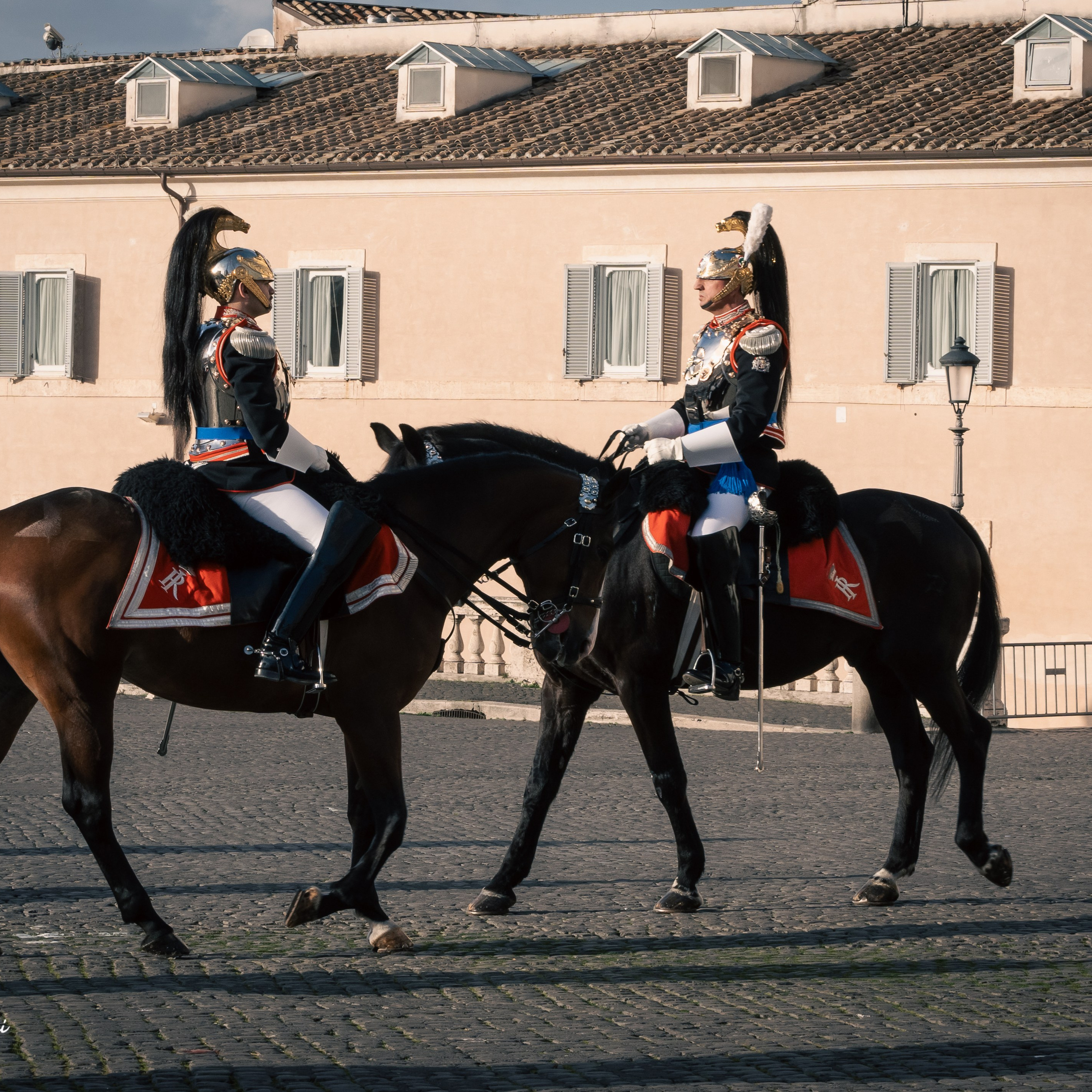 Cambio della Guardia Reggimento Corazzieri. Fotografo romano!
