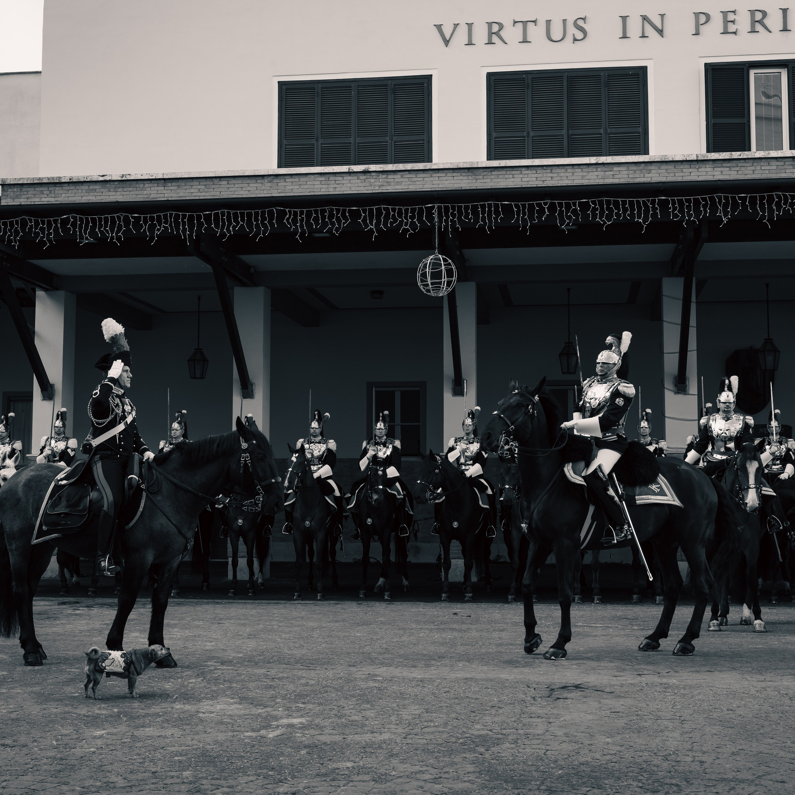 Cambio della Guardia Reggimento Corazzieri. Fotografo romano!