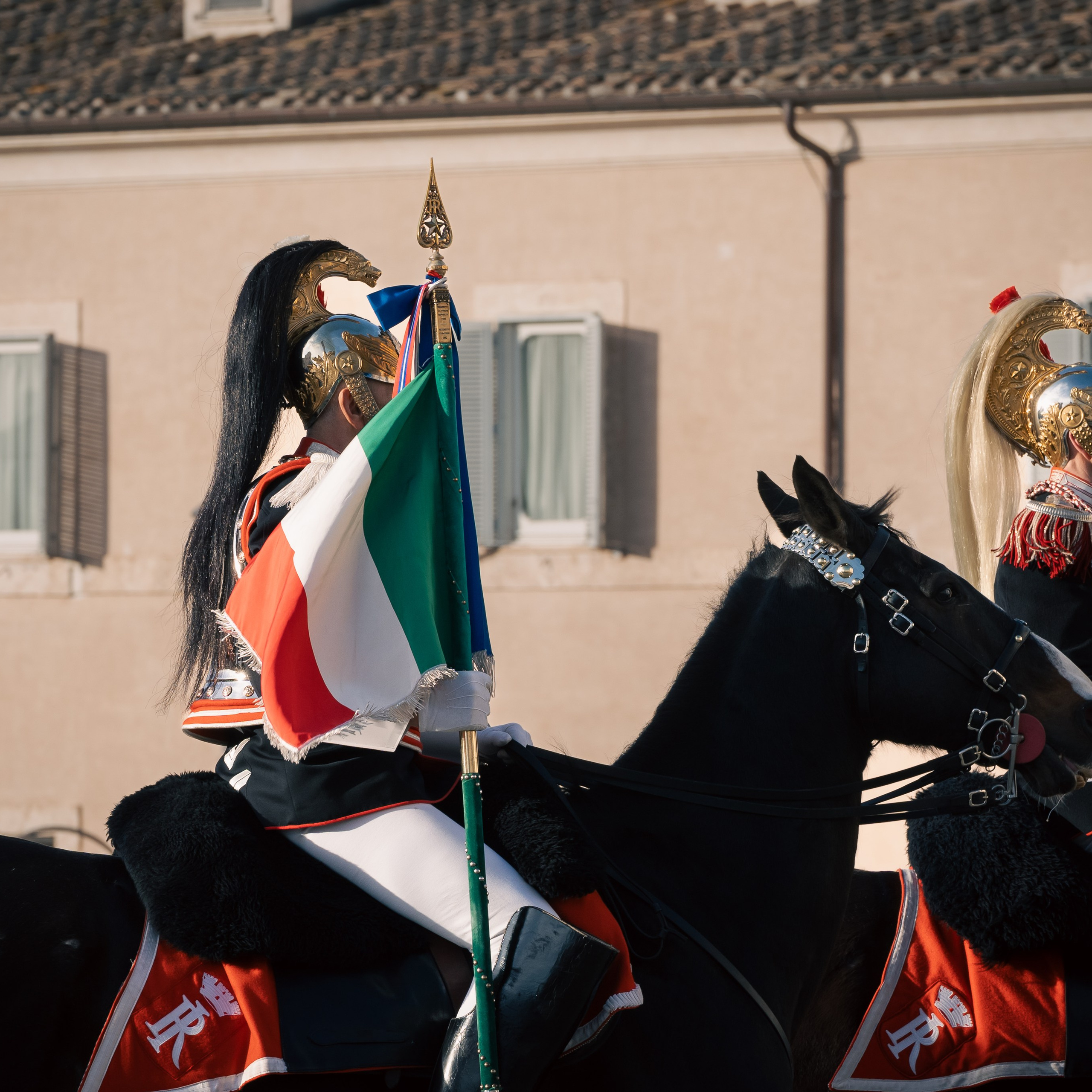 Cambio della Guardia Reggimento Corazzieri. Fotografo romano!