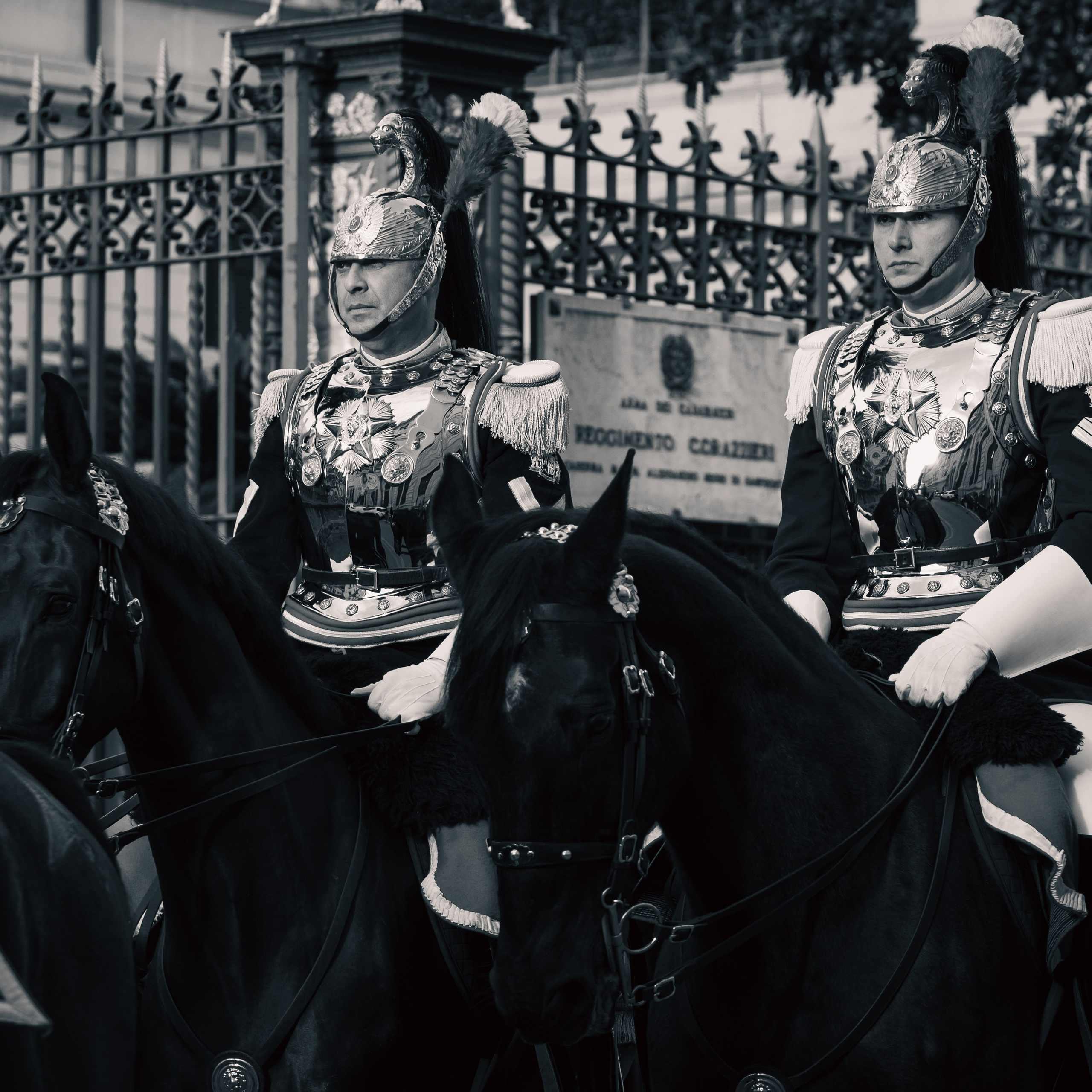 Cambio della Guardia Reggimento Corazzieri. Fotografo romano!