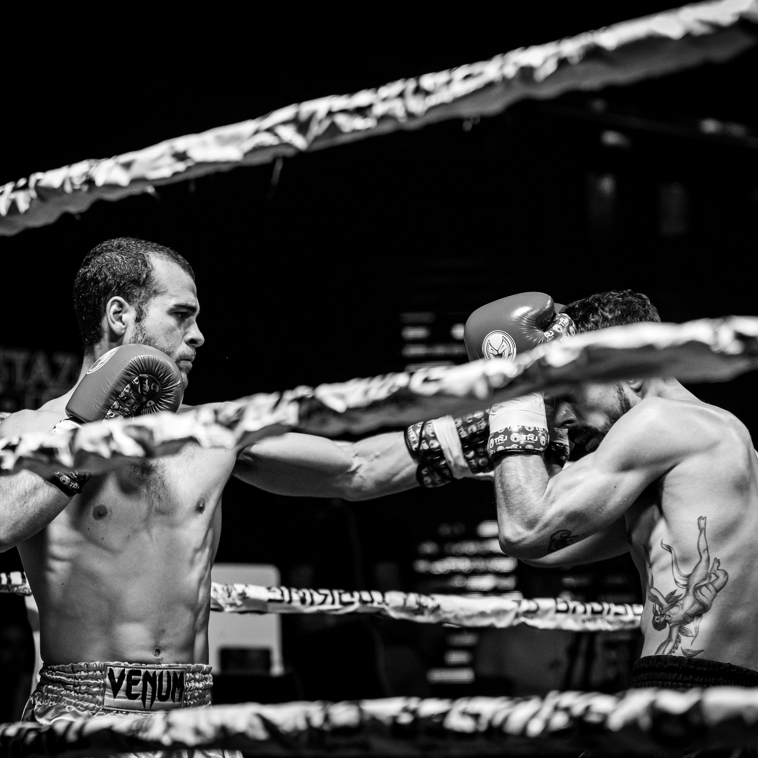 Evento Top Level Fighters Stazione Birra. Fotografo romano!