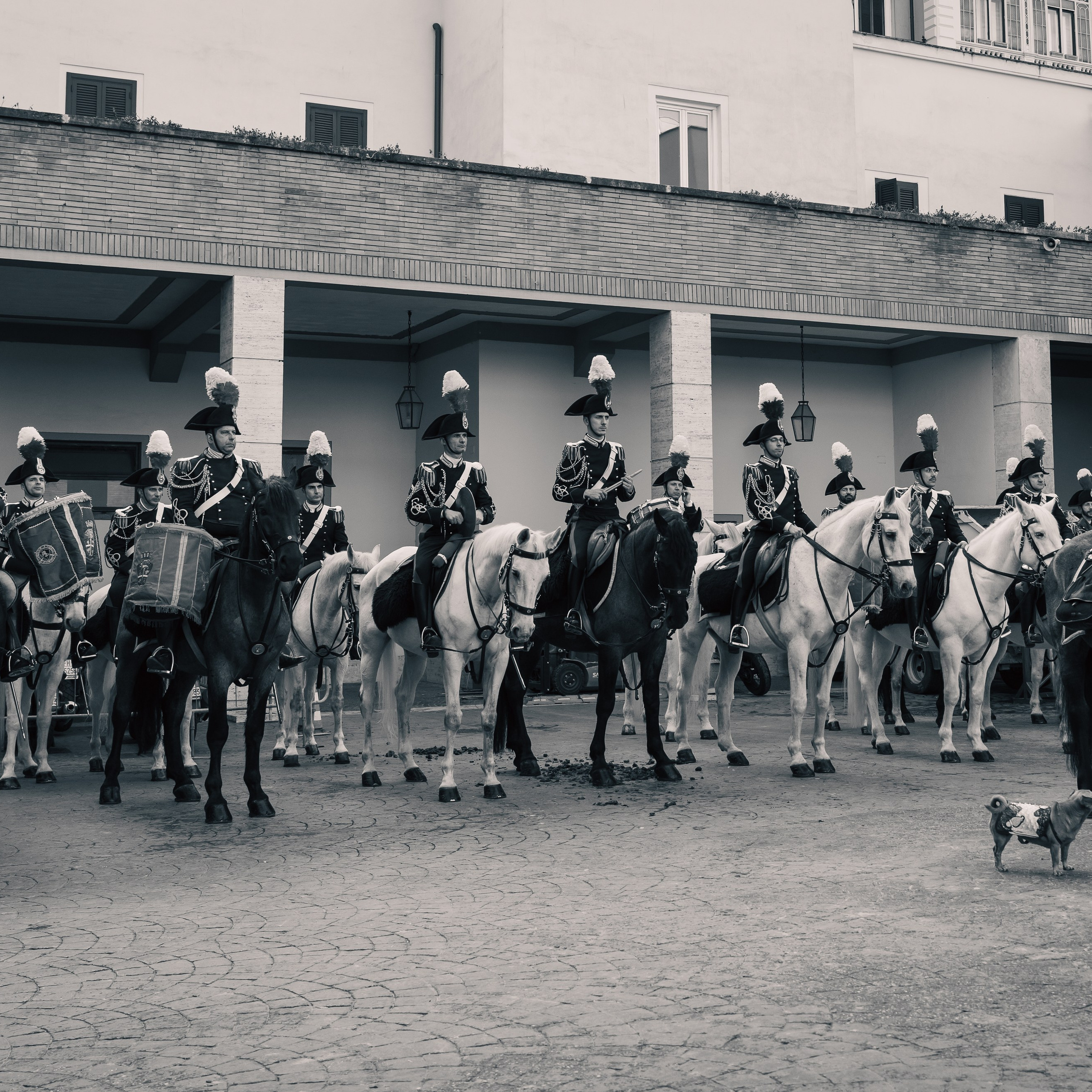 Cambio della Guardia Reggimento Corazzieri. Fotografo romano!