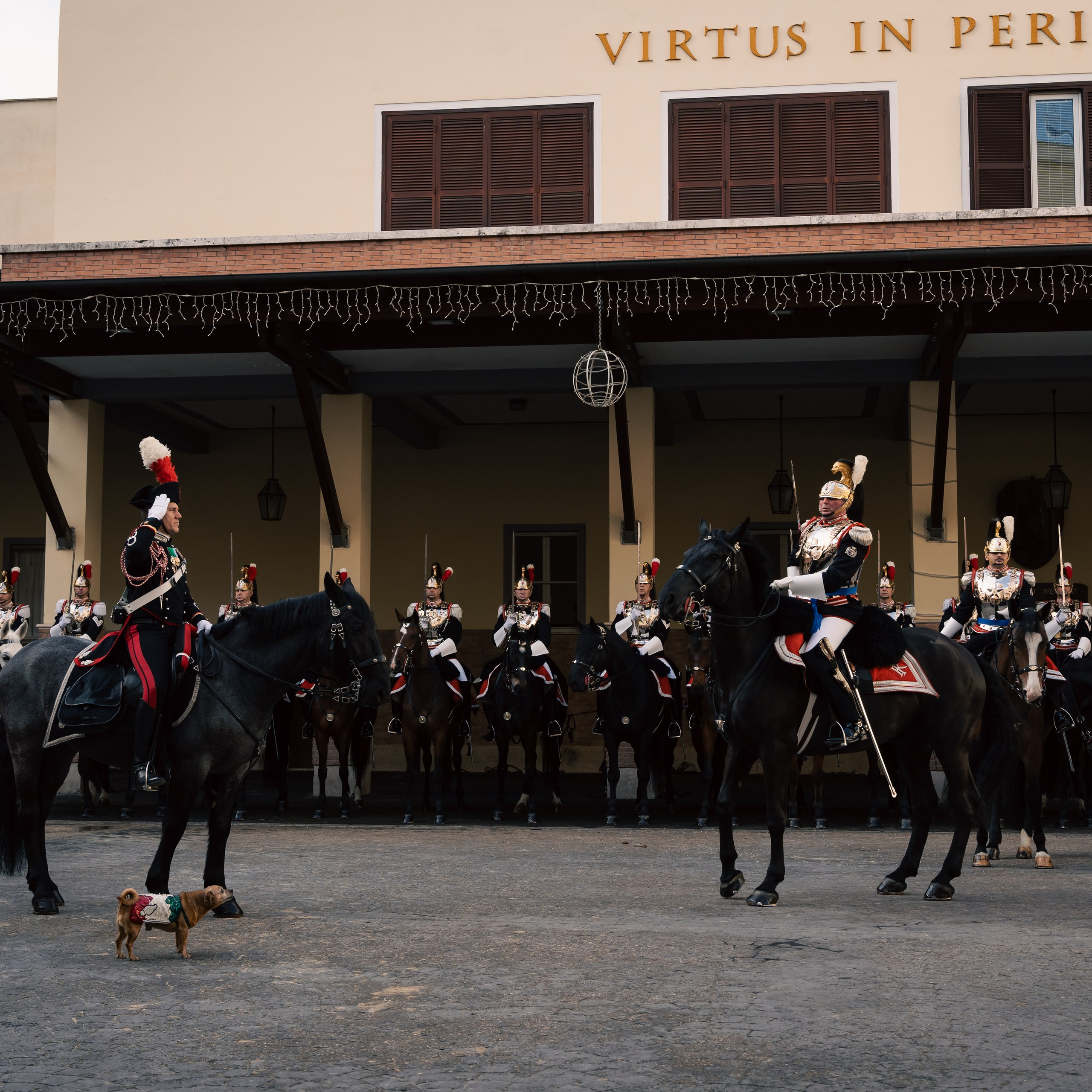 Cambio della Guardia Reggimento Corazzieri. Fotografo romano!