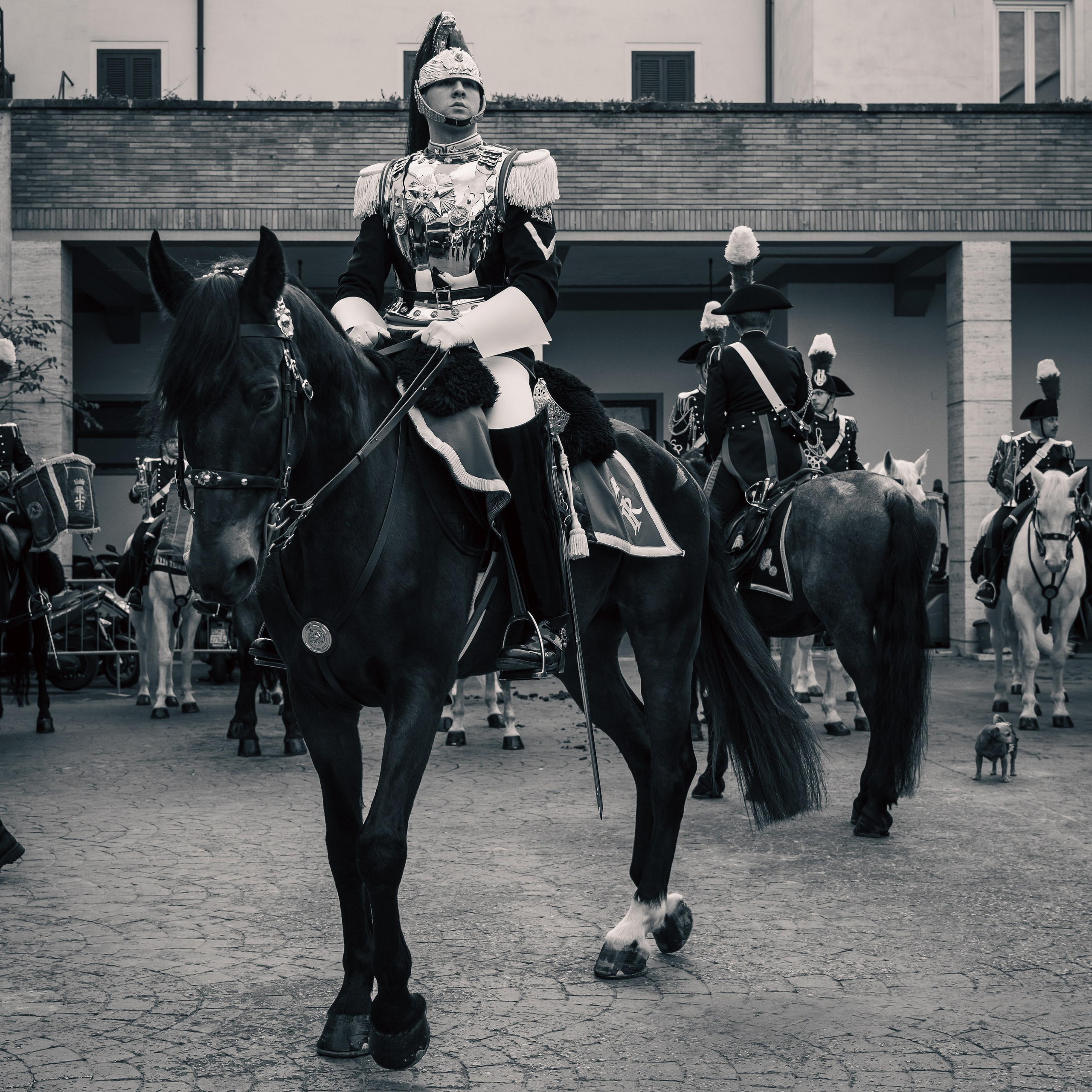 Cambio della Guardia Reggimento Corazzieri. Fotografo romano!