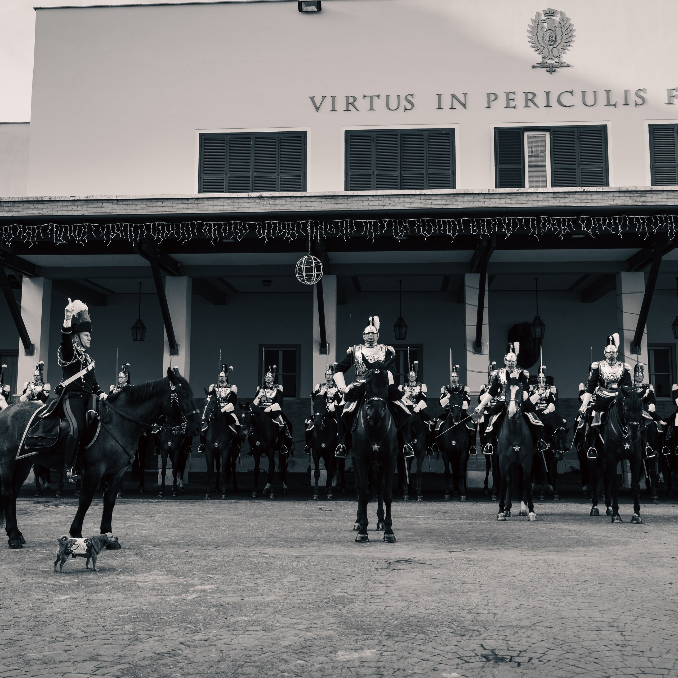 Cambio della Guardia Reggimento Corazzieri. Fotografo romano!