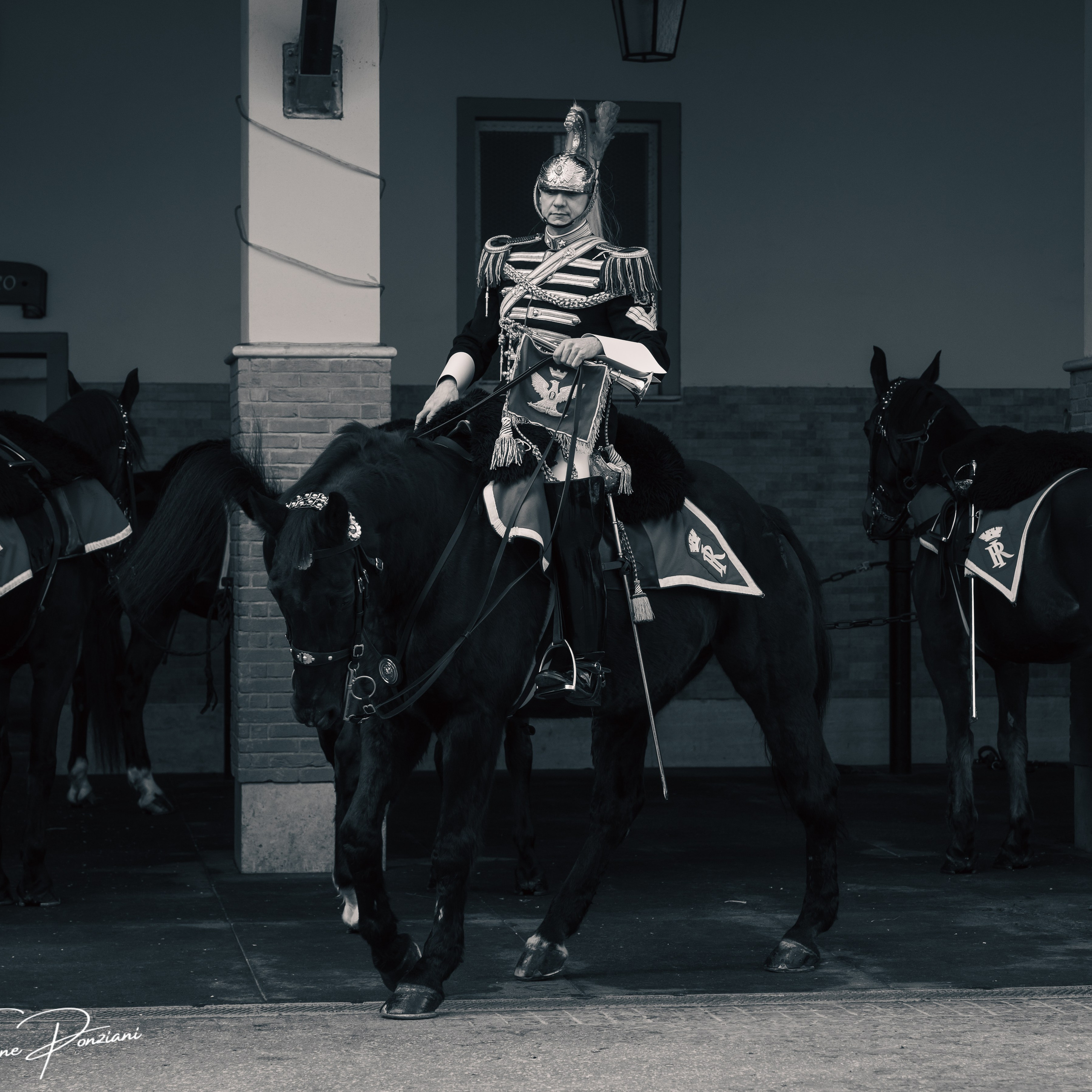 Cambio della Guardia Reggimento Corazzieri. Fotografo romano!