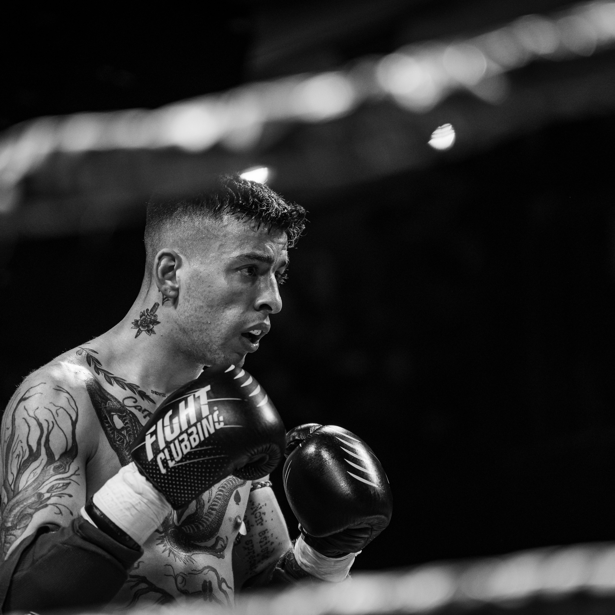 Evento Top Level Fighters Stazione Birra. Fotografo romano!