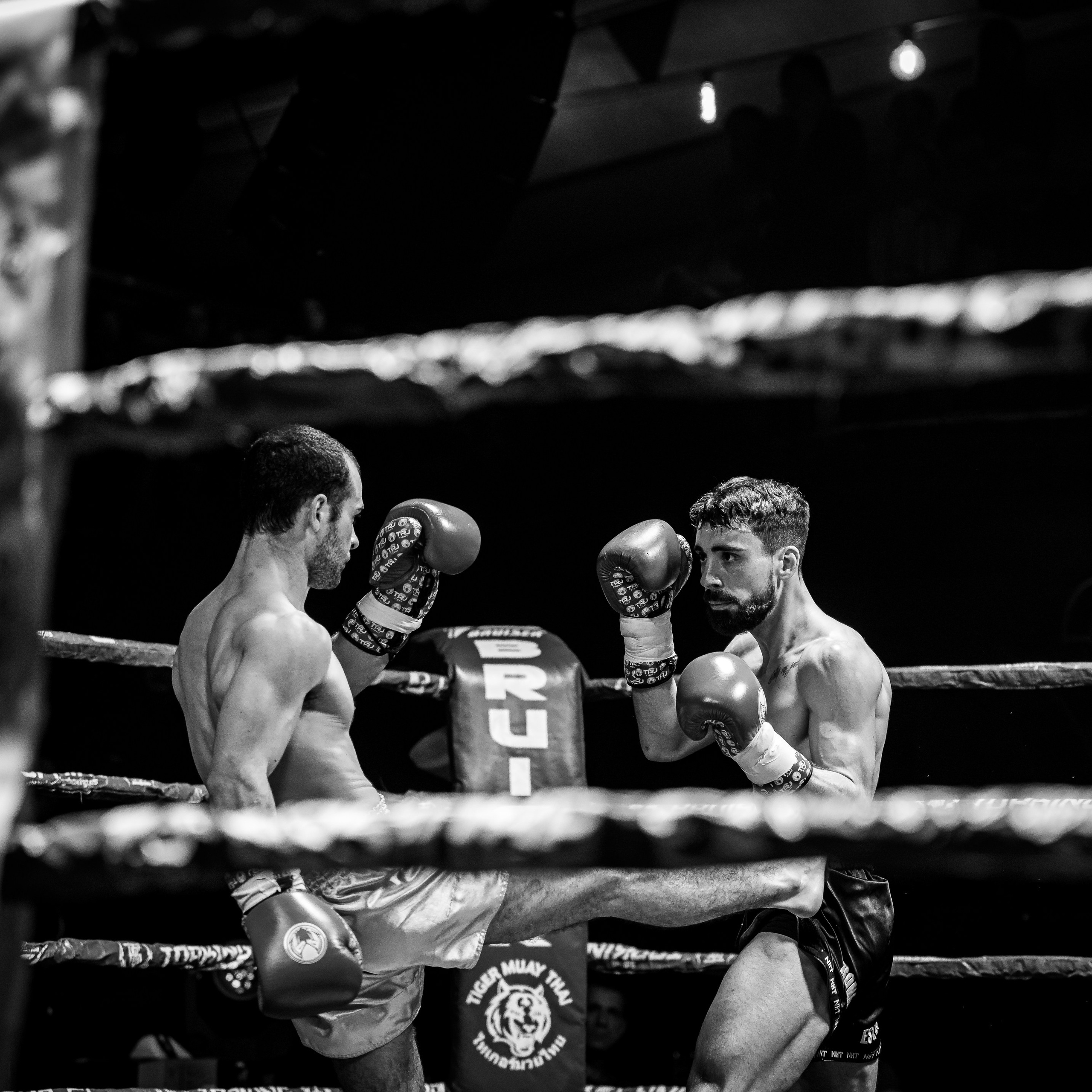 Evento Top Level Fighters Stazione Birra. Fotografo romano!