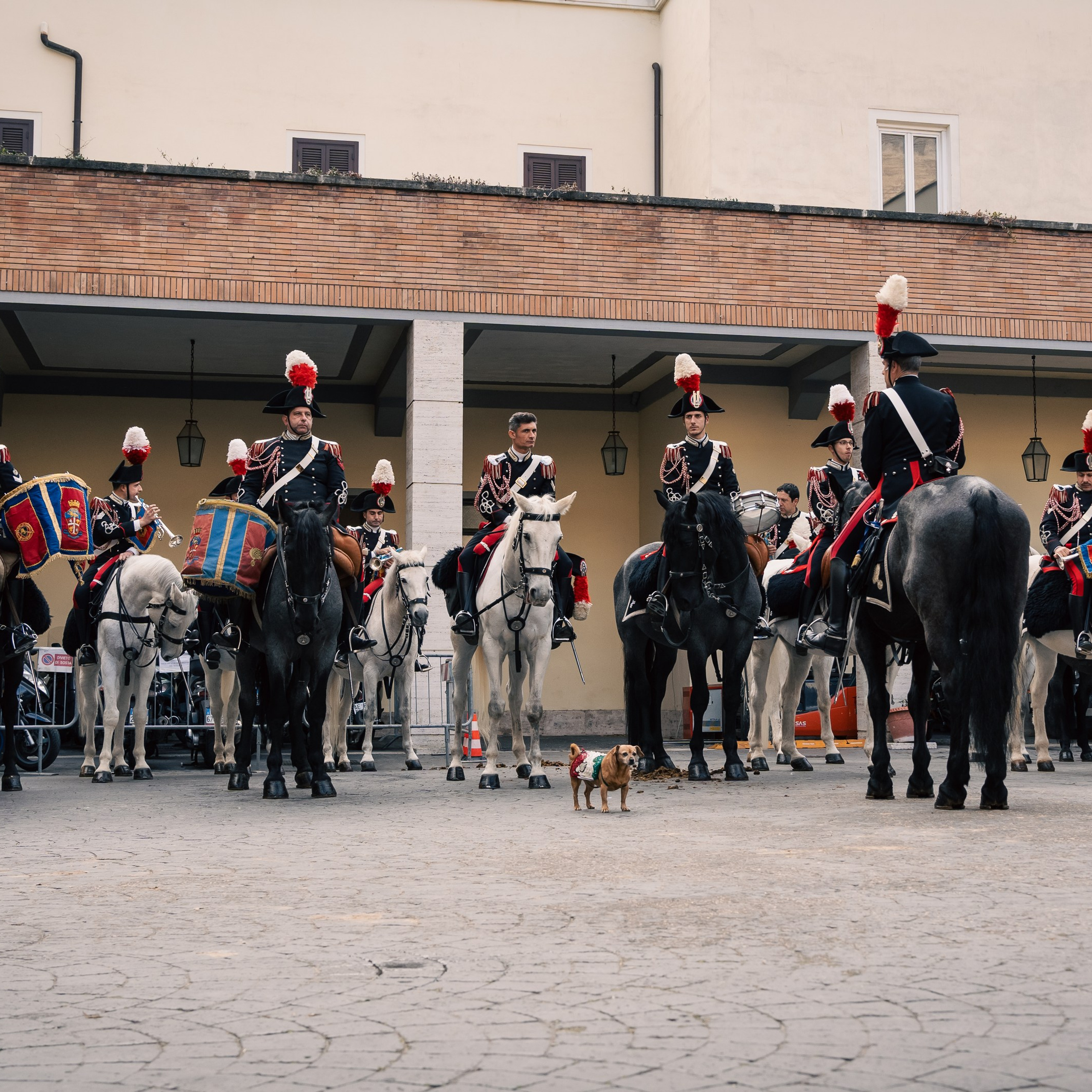 Cambio della Guardia Reggimento Corazzieri. Fotografo romano!