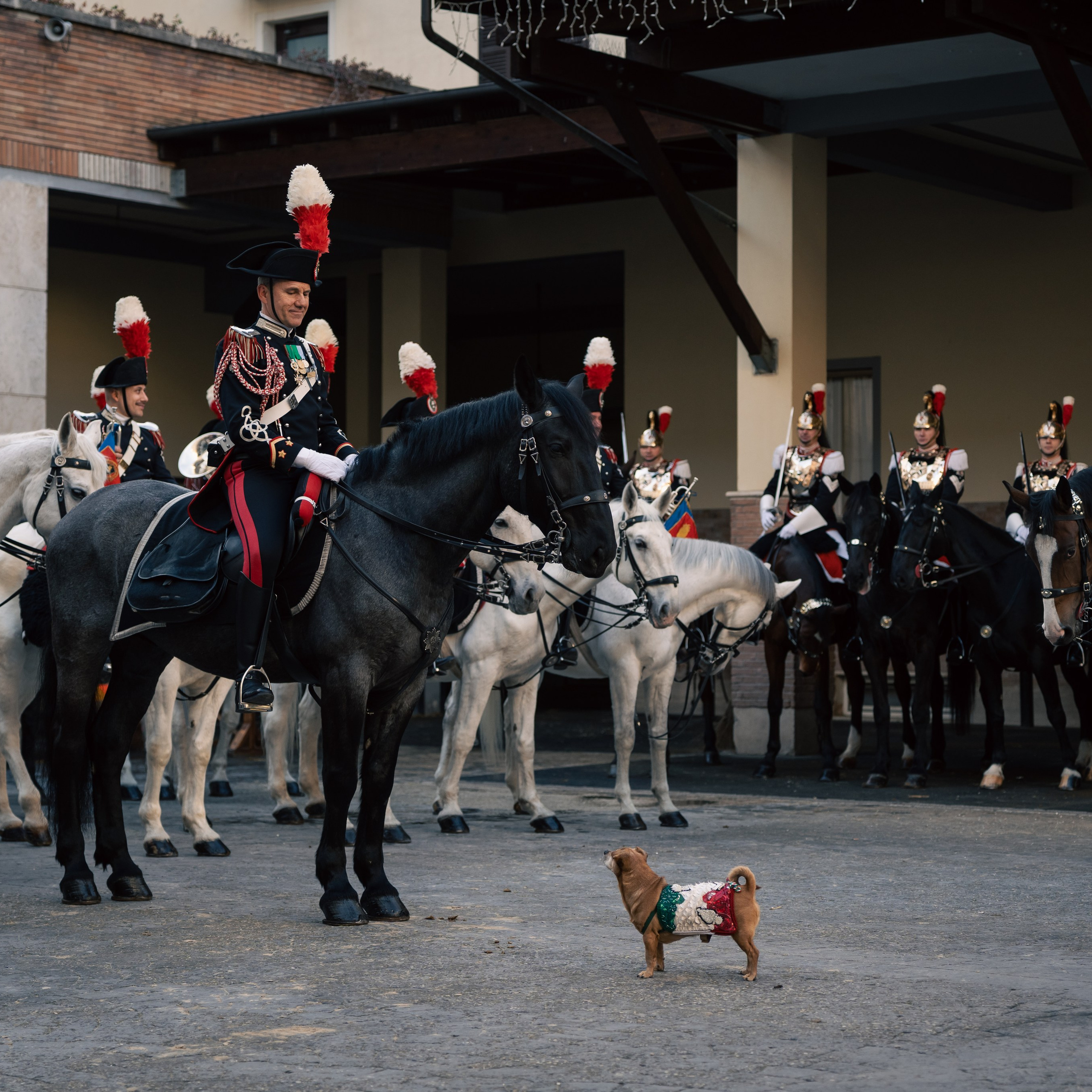 Cambio della Guardia Reggimento Corazzieri. Fotografo romano!