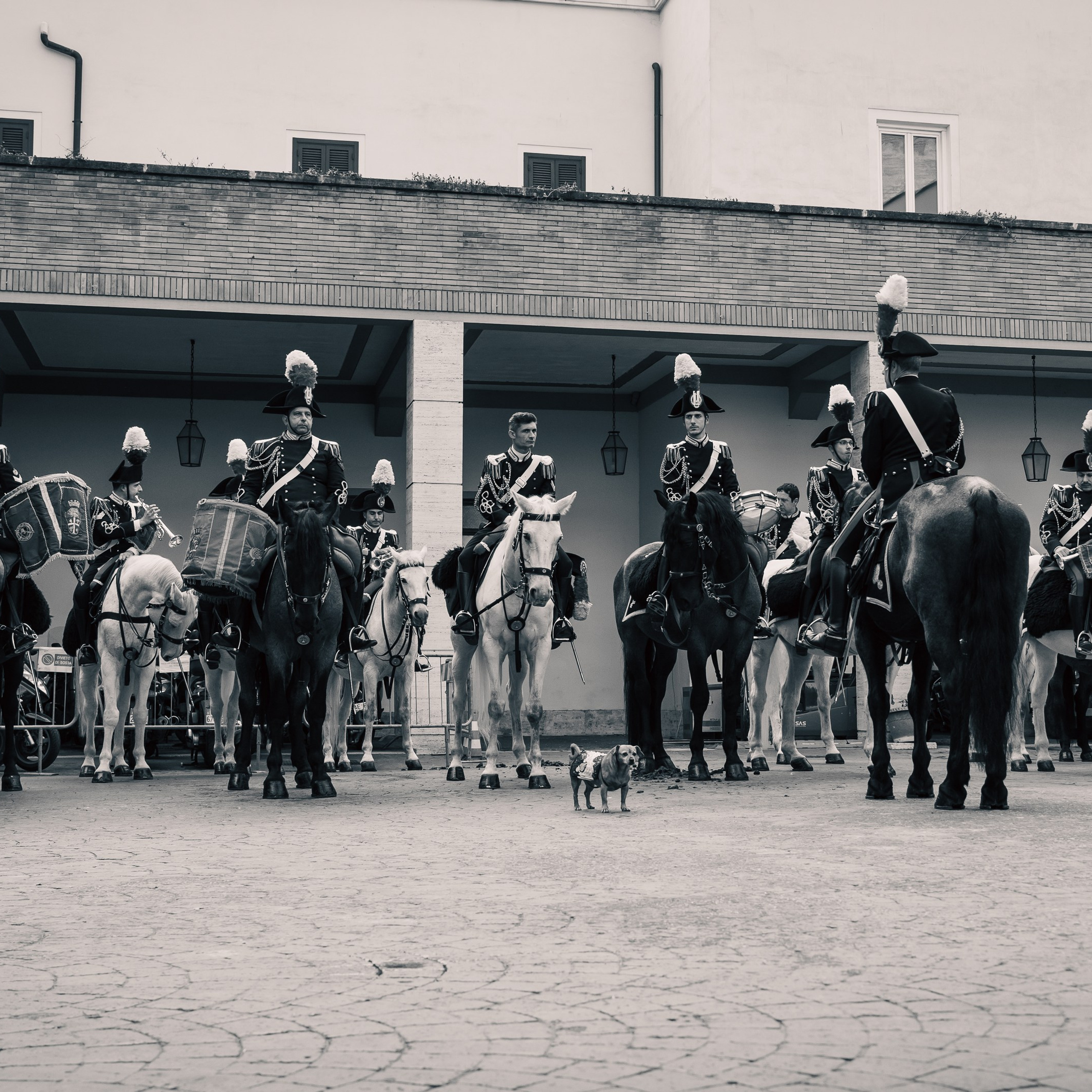 Cambio della Guardia Reggimento Corazzieri. Fotografo romano!