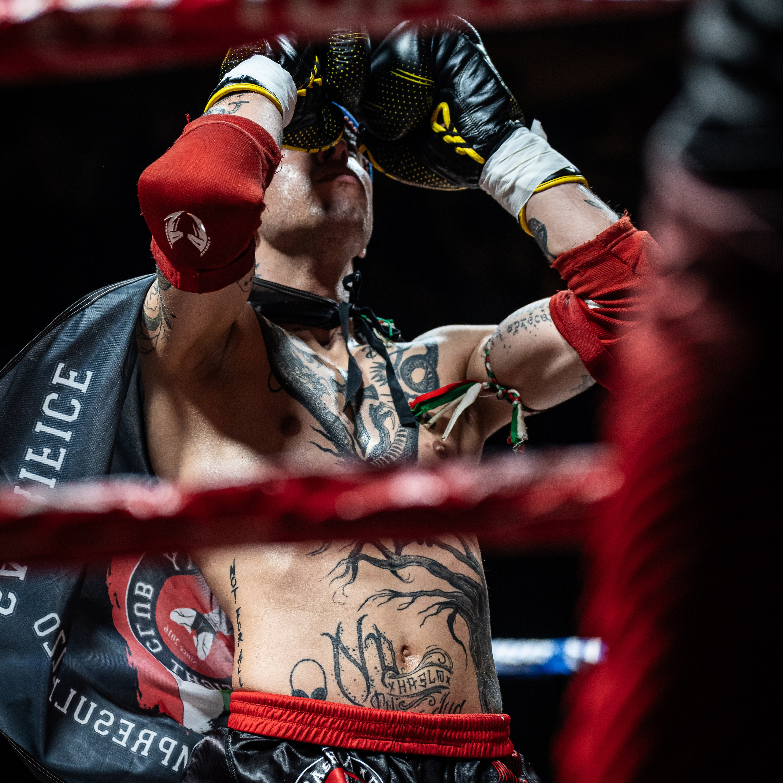 Evento Top Level Fighters Stazione Birra. Fotografo romano!