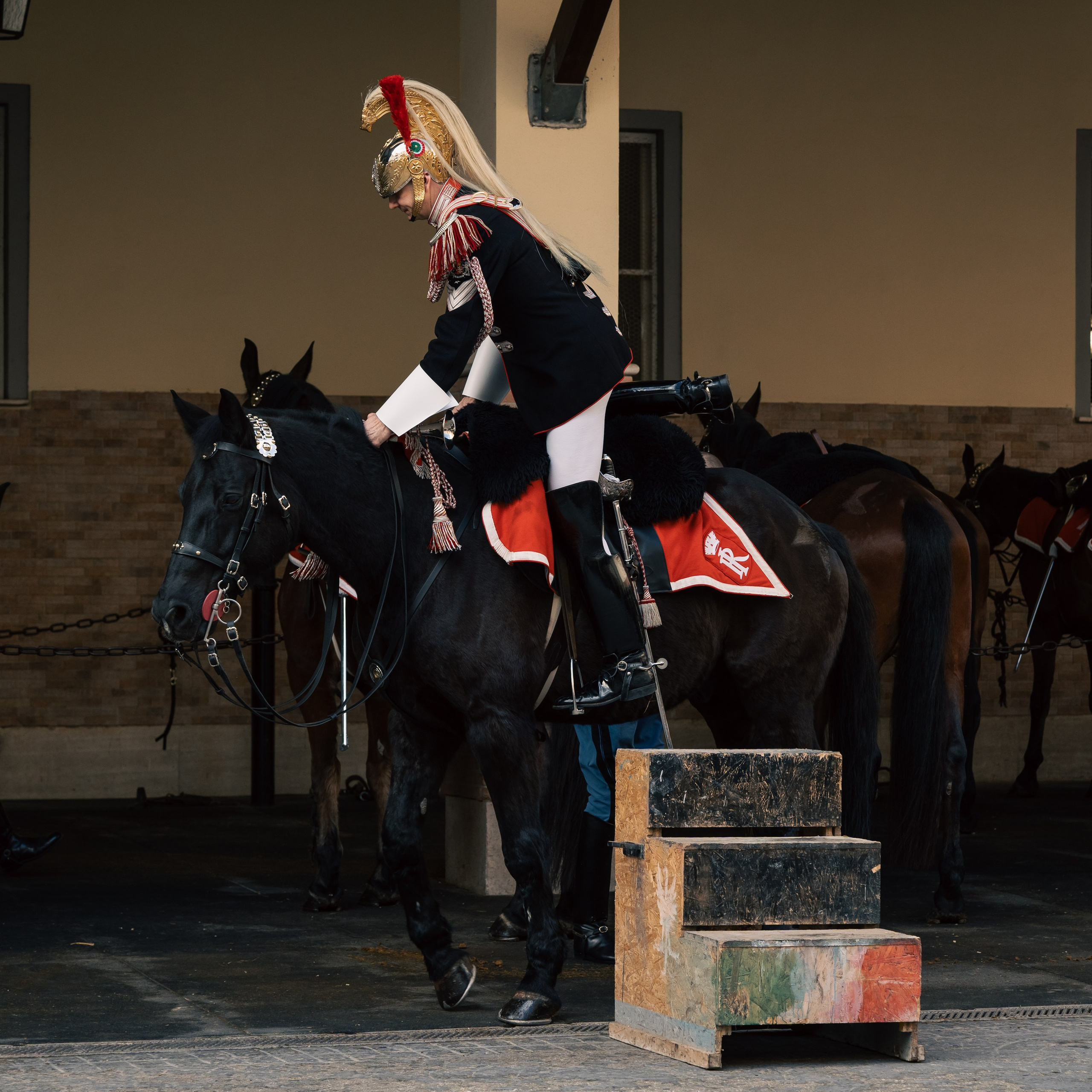 Cambio della Guardia Reggimento Corazzieri. Fotografo romano!