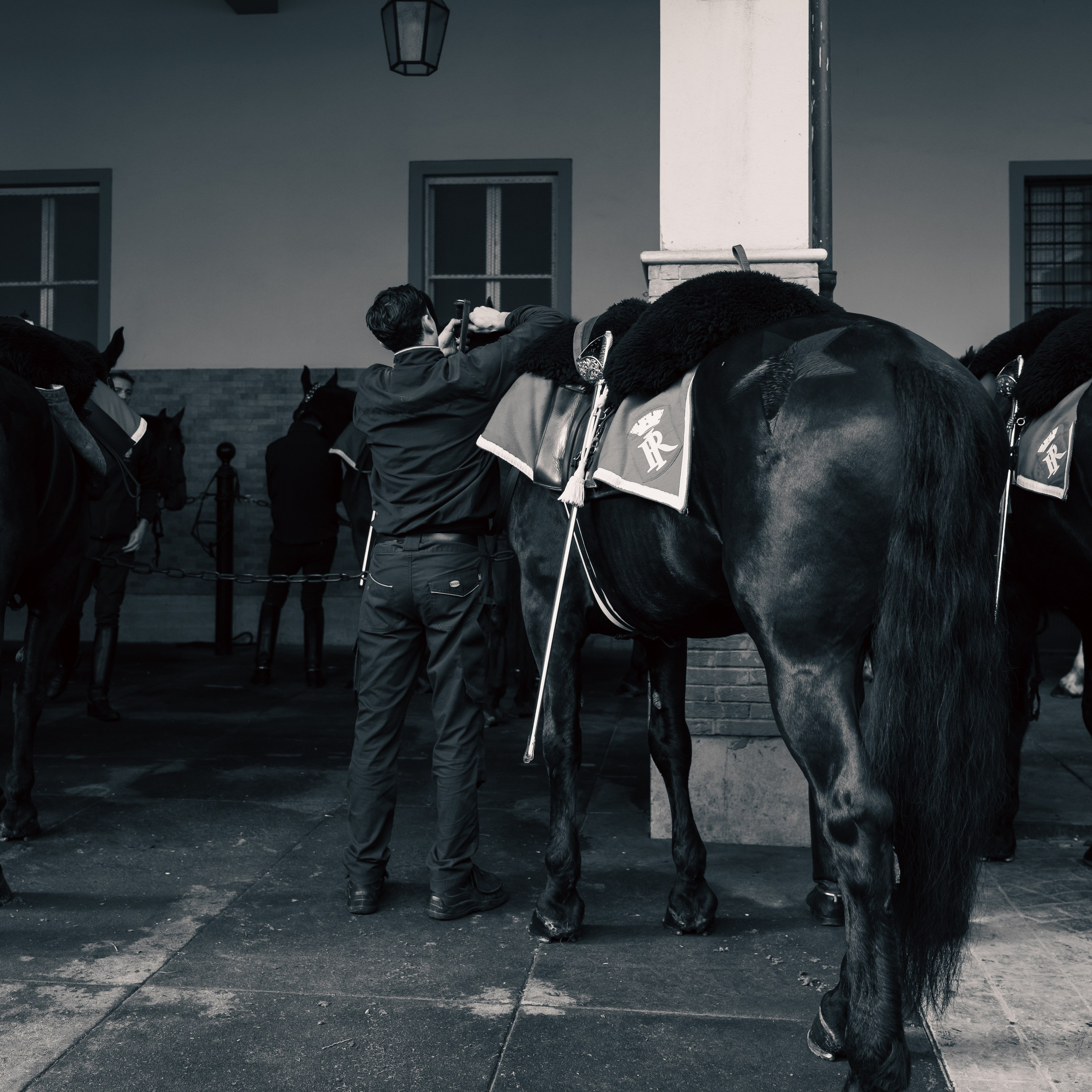 Cambio della Guardia Reggimento Corazzieri. Fotografo romano!