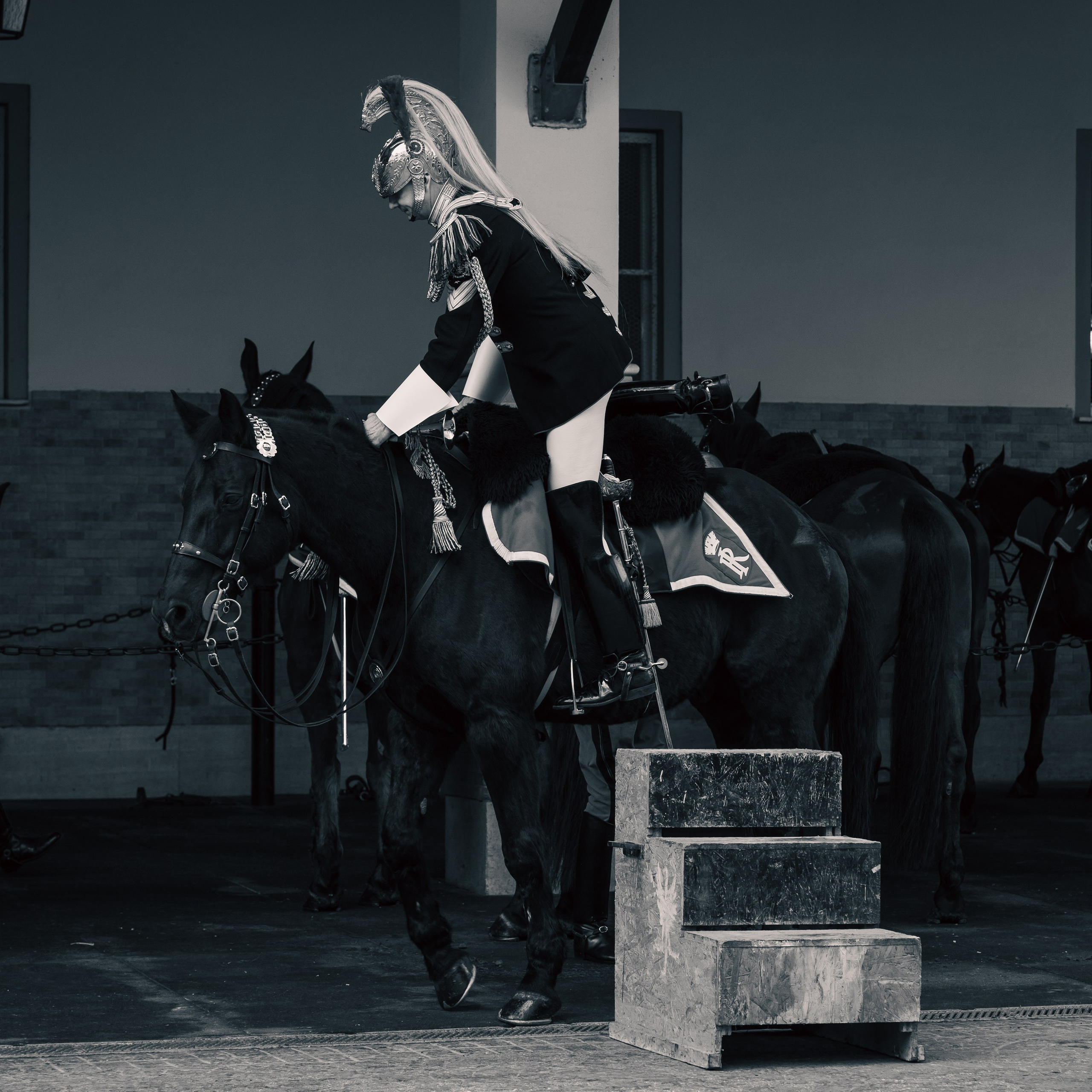 Cambio della Guardia Reggimento Corazzieri. Fotografo romano!