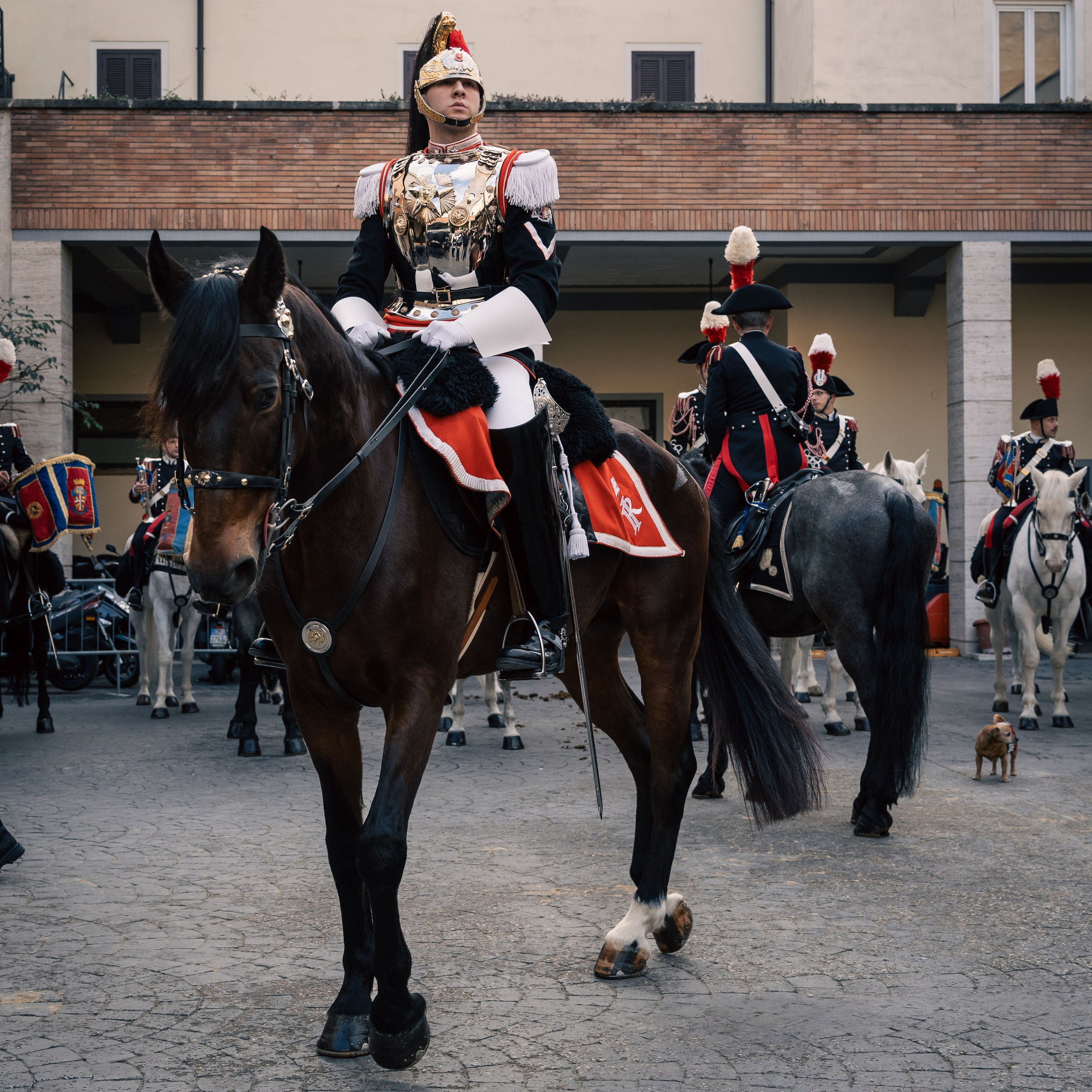 Cambio della Guardia Reggimento Corazzieri. Fotografo romano!