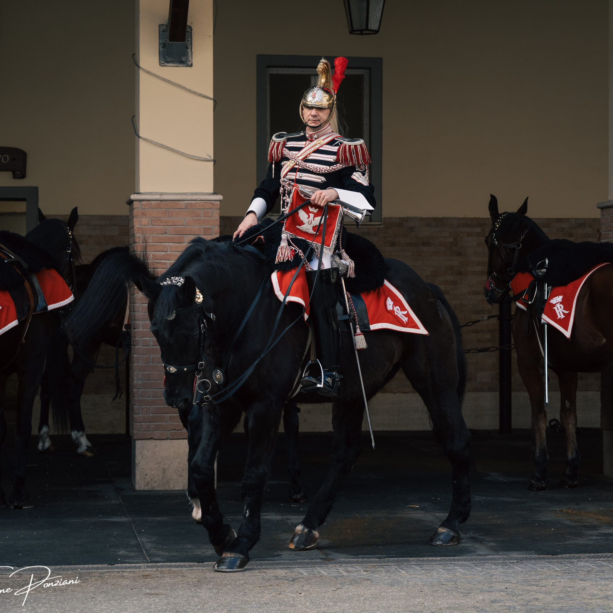 Cambio della Guardia Reggimento Corazzieri. Fotografo romano!