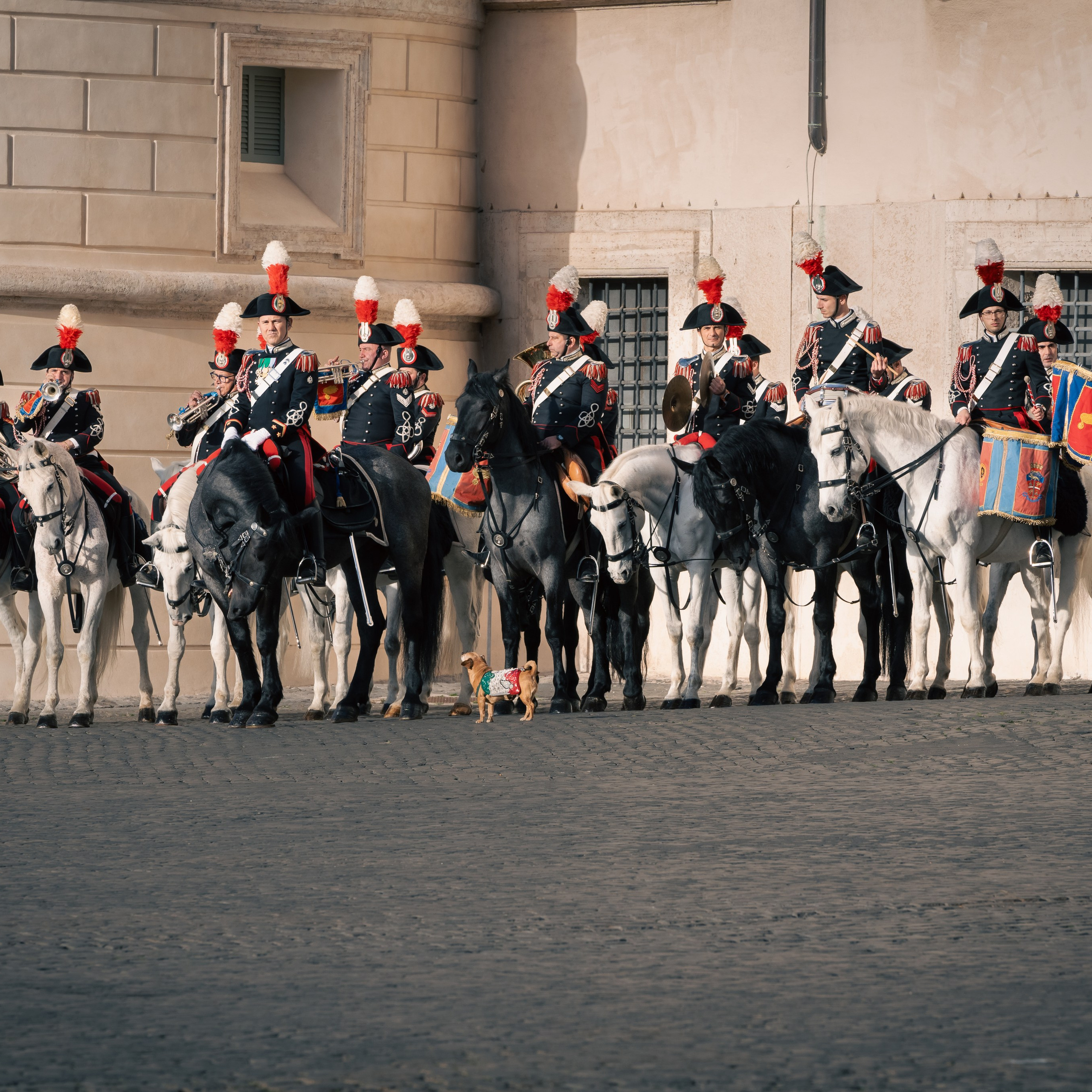 Cambio della Guardia Reggimento Corazzieri. Fotografo romano!