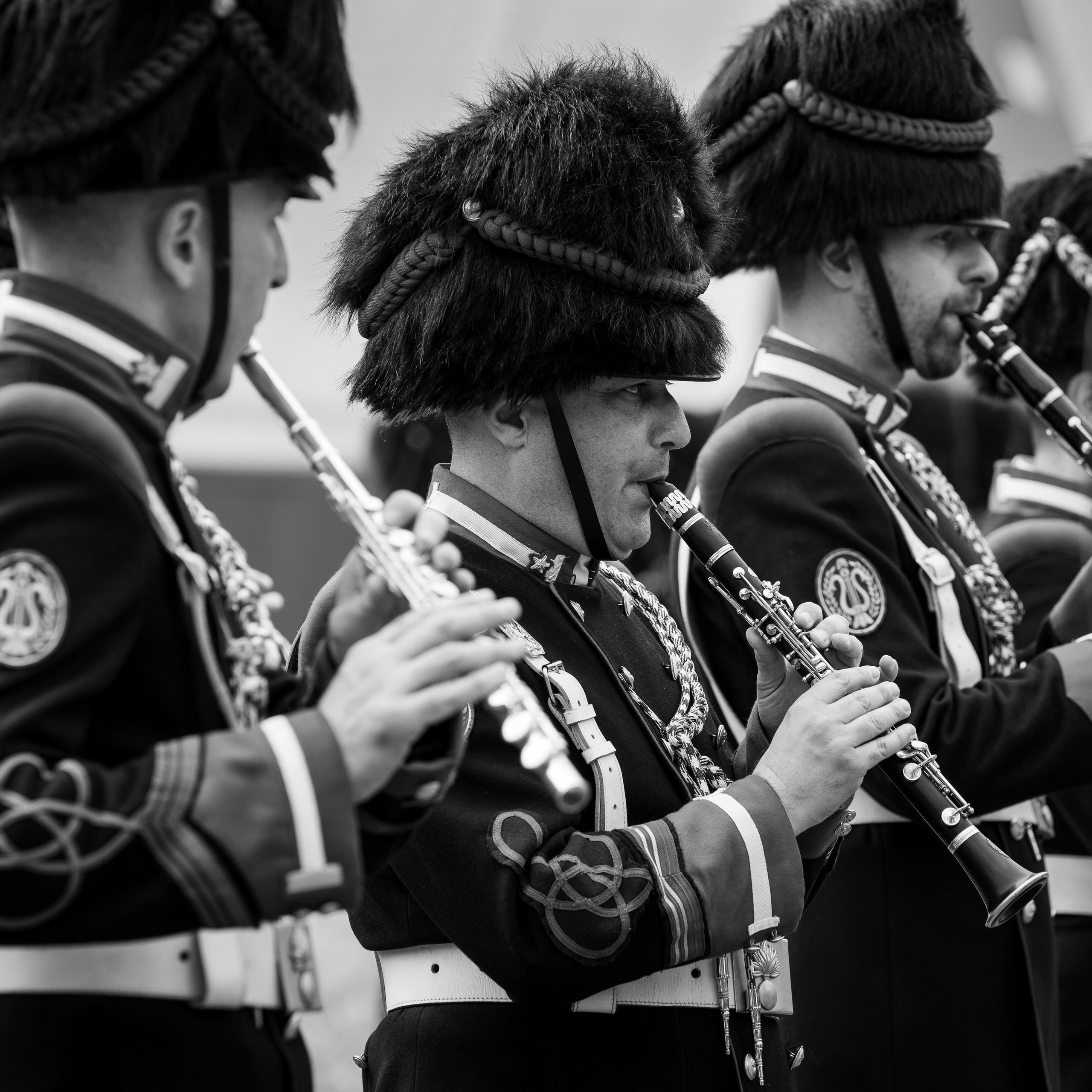 Festa Dei Granatieri Di Sardegna. Fotografo romano!