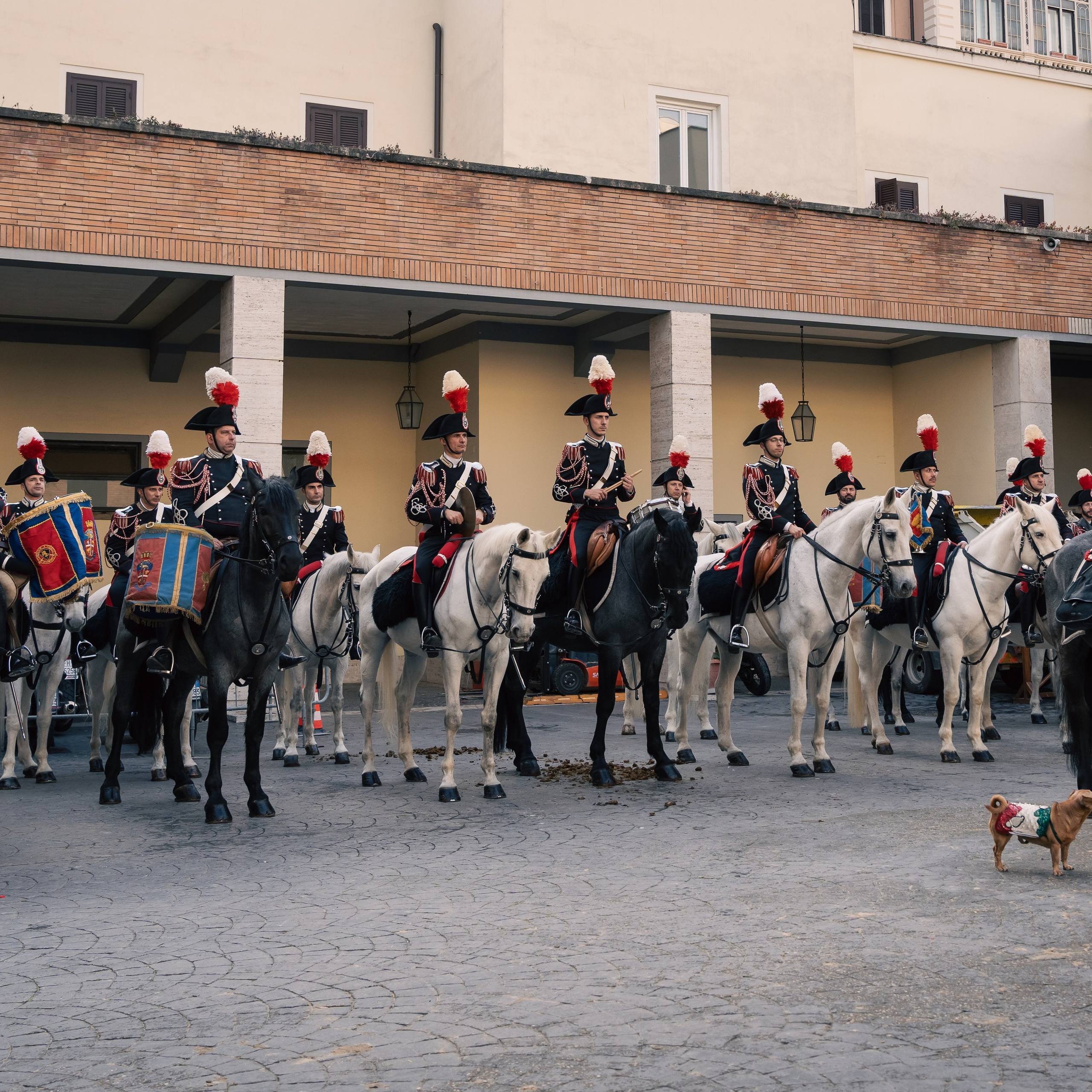 Cambio della Guardia Reggimento Corazzieri. Fotografo romano!