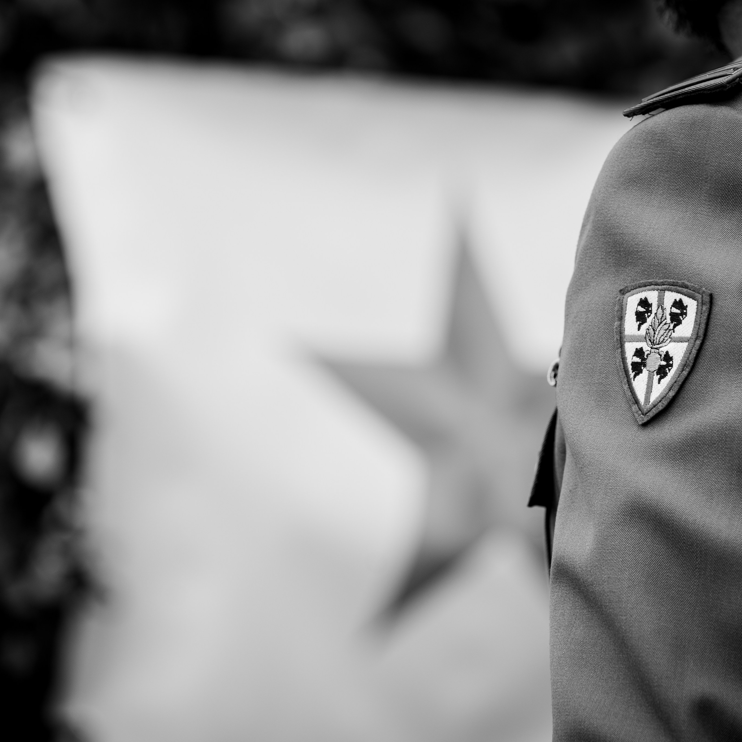 Festa Dei Granatieri Di Sardegna. Fotografo romano!