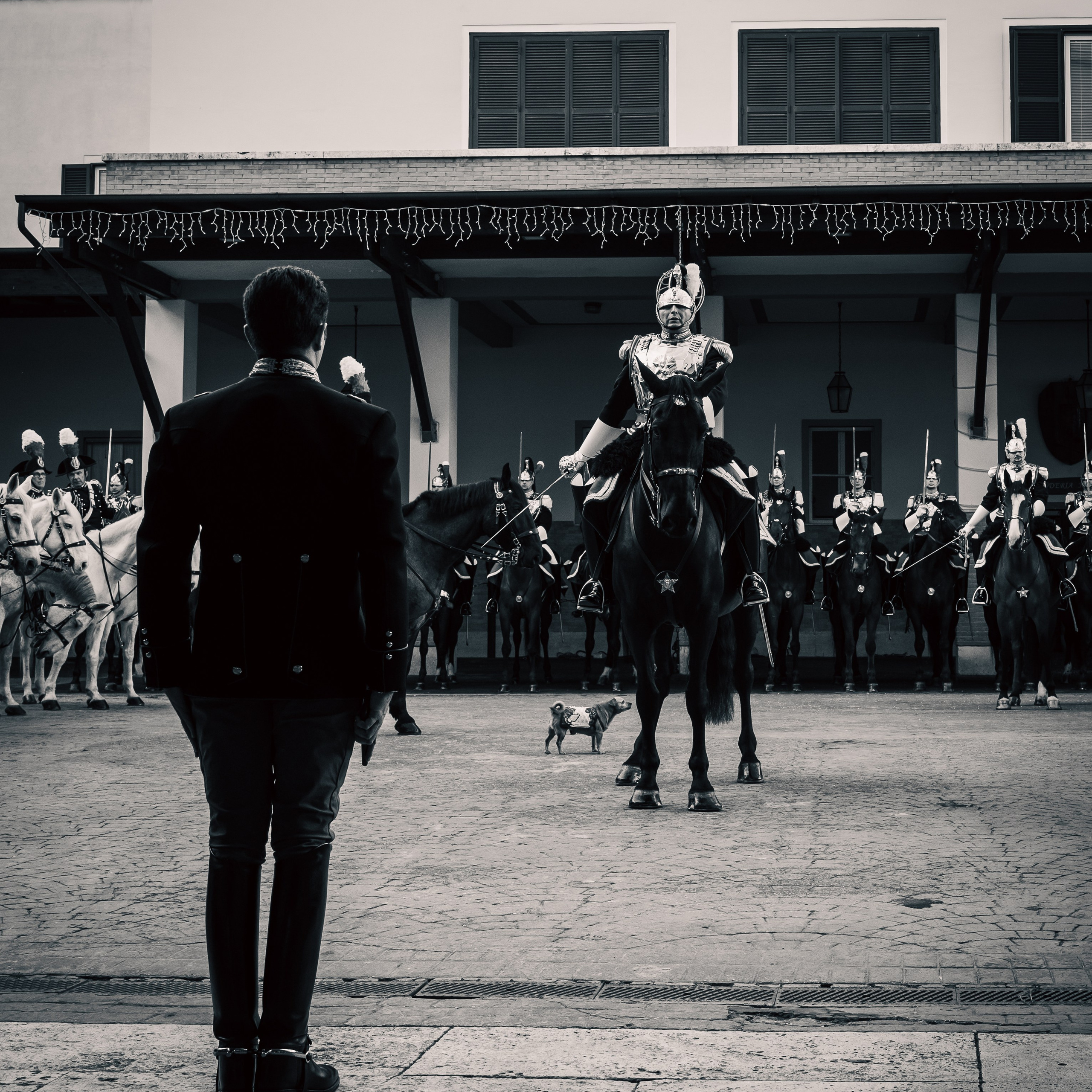 Cambio della Guardia Reggimento Corazzieri. Fotografo romano!