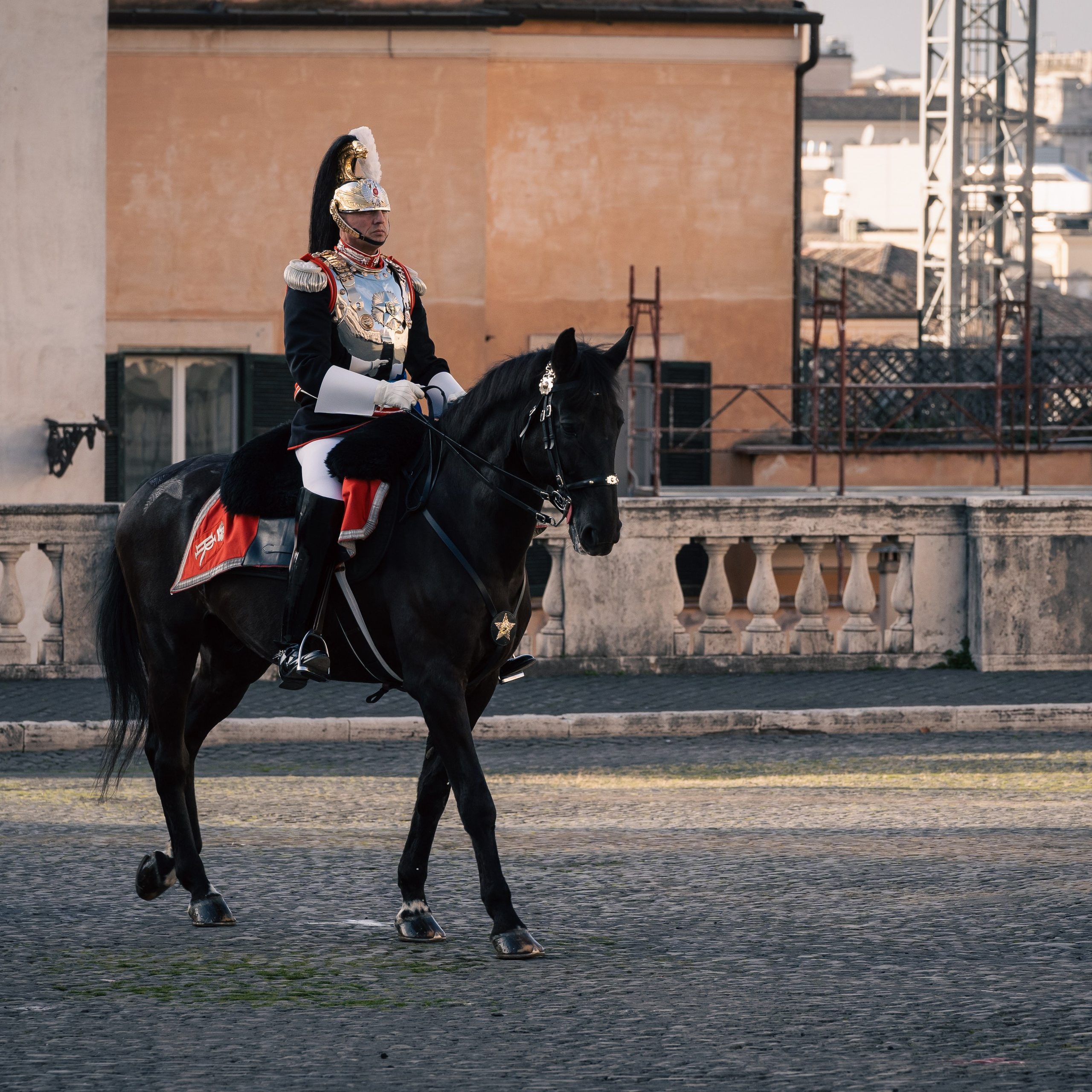 Cambio della Guardia Reggimento Corazzieri. Fotografo romano!